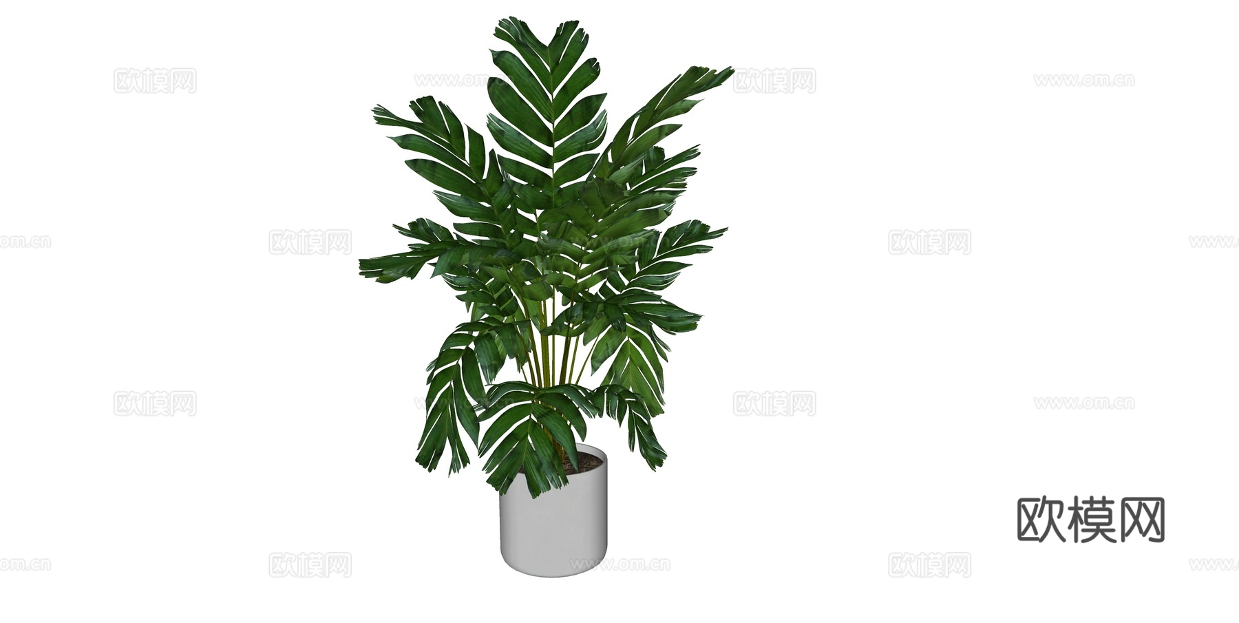 植物 盆栽 盆景 花卉su模型下载