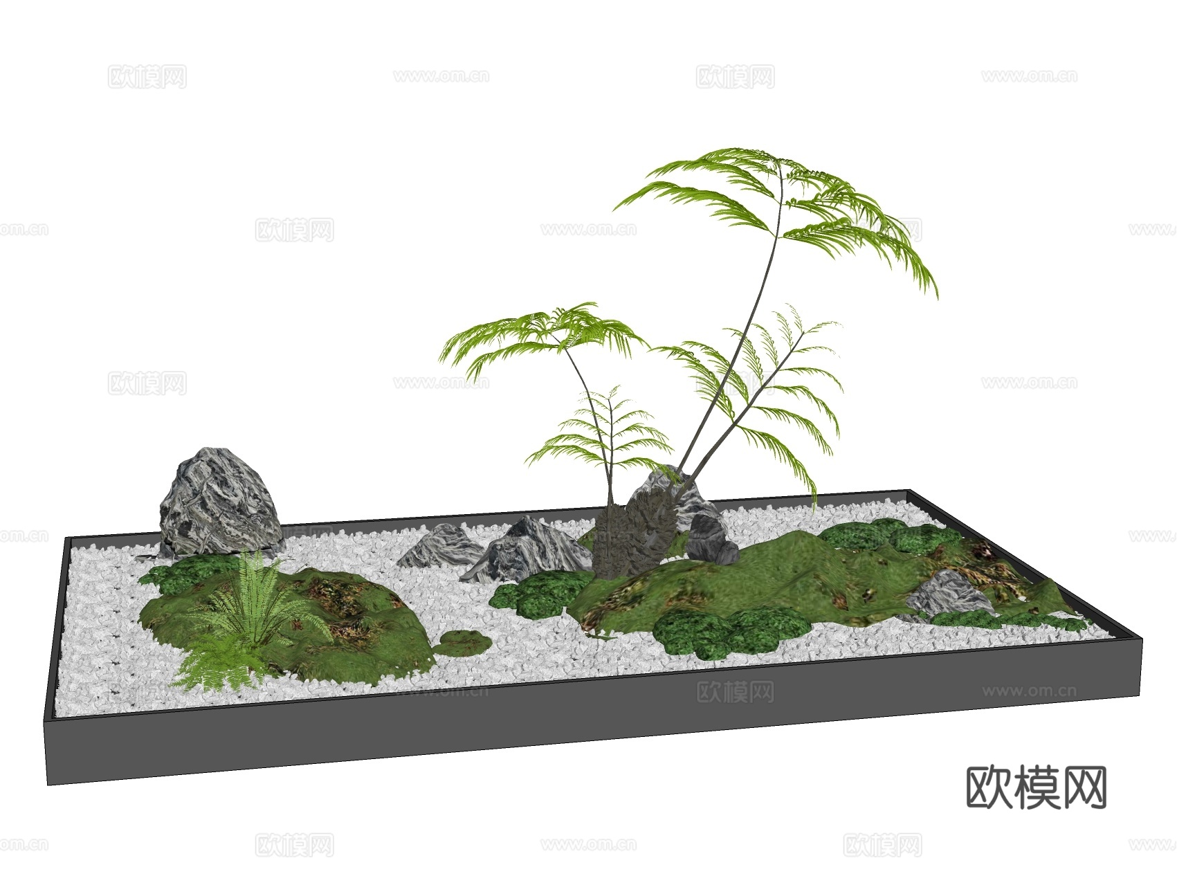 蕨类植物 盆栽地被su模型下载