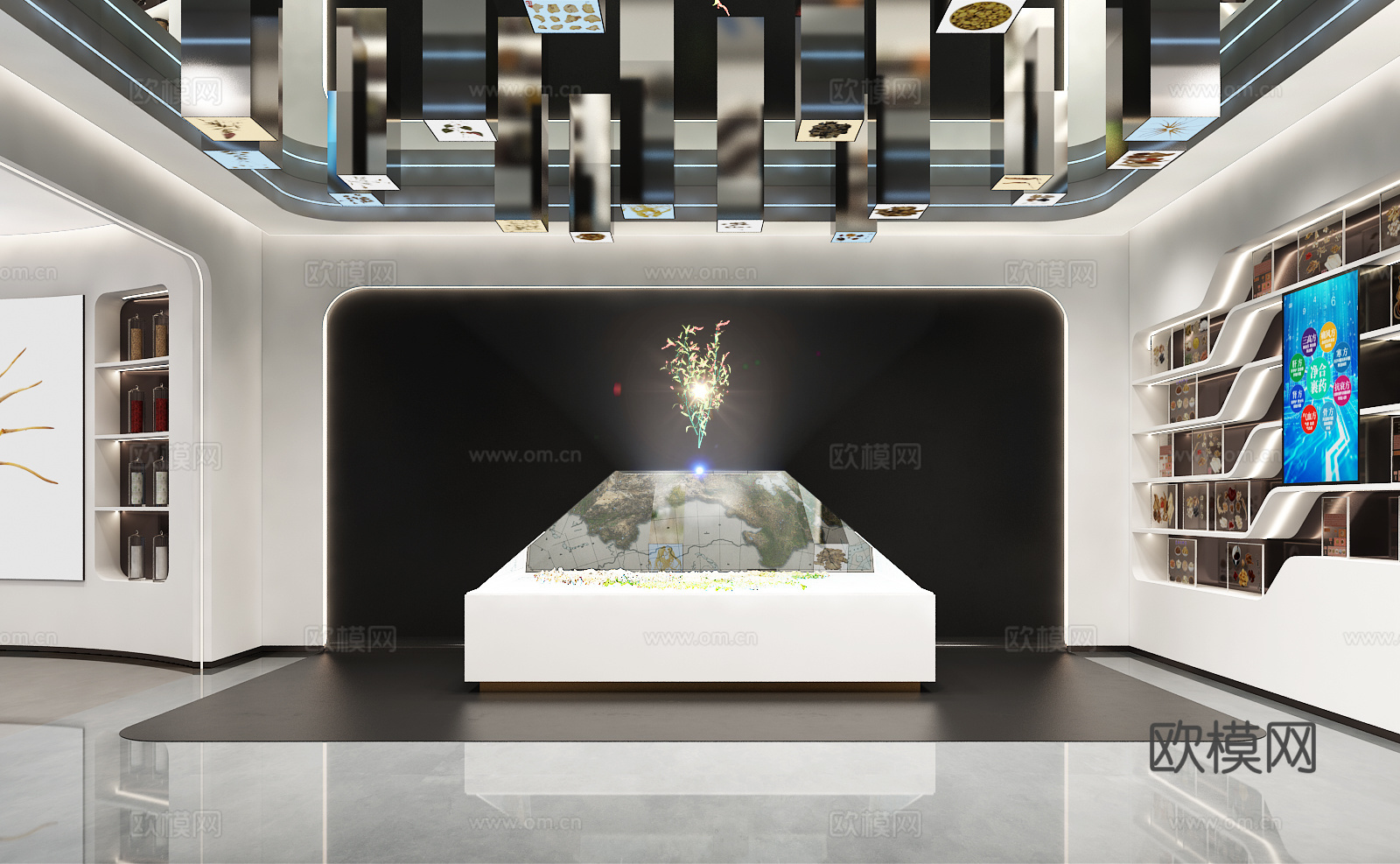 展厅 植物展厅 标本展厅 植物标本展厅 植物3d模型