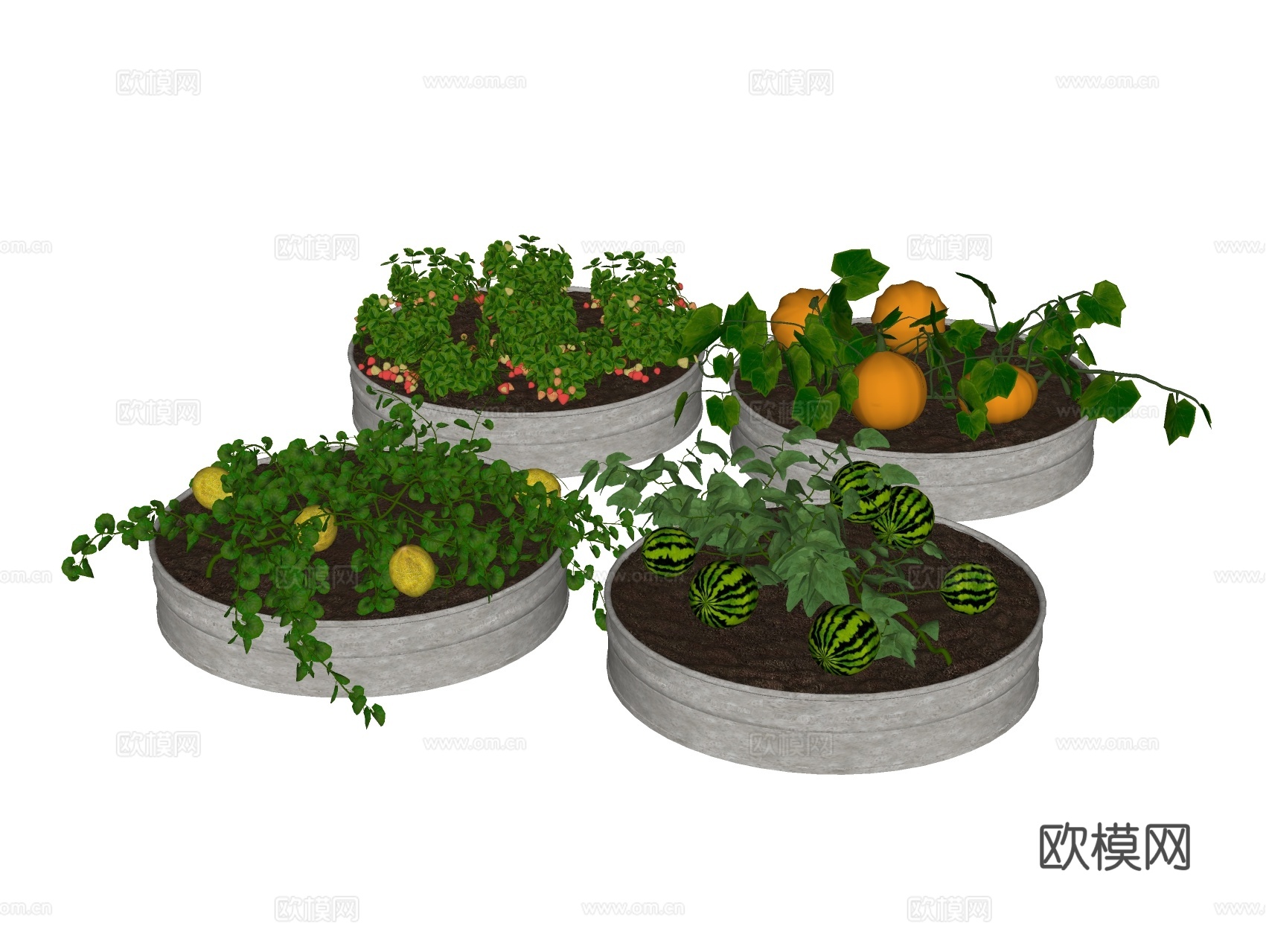 农作物菜园 蔬菜果蔬菜地su模型下载