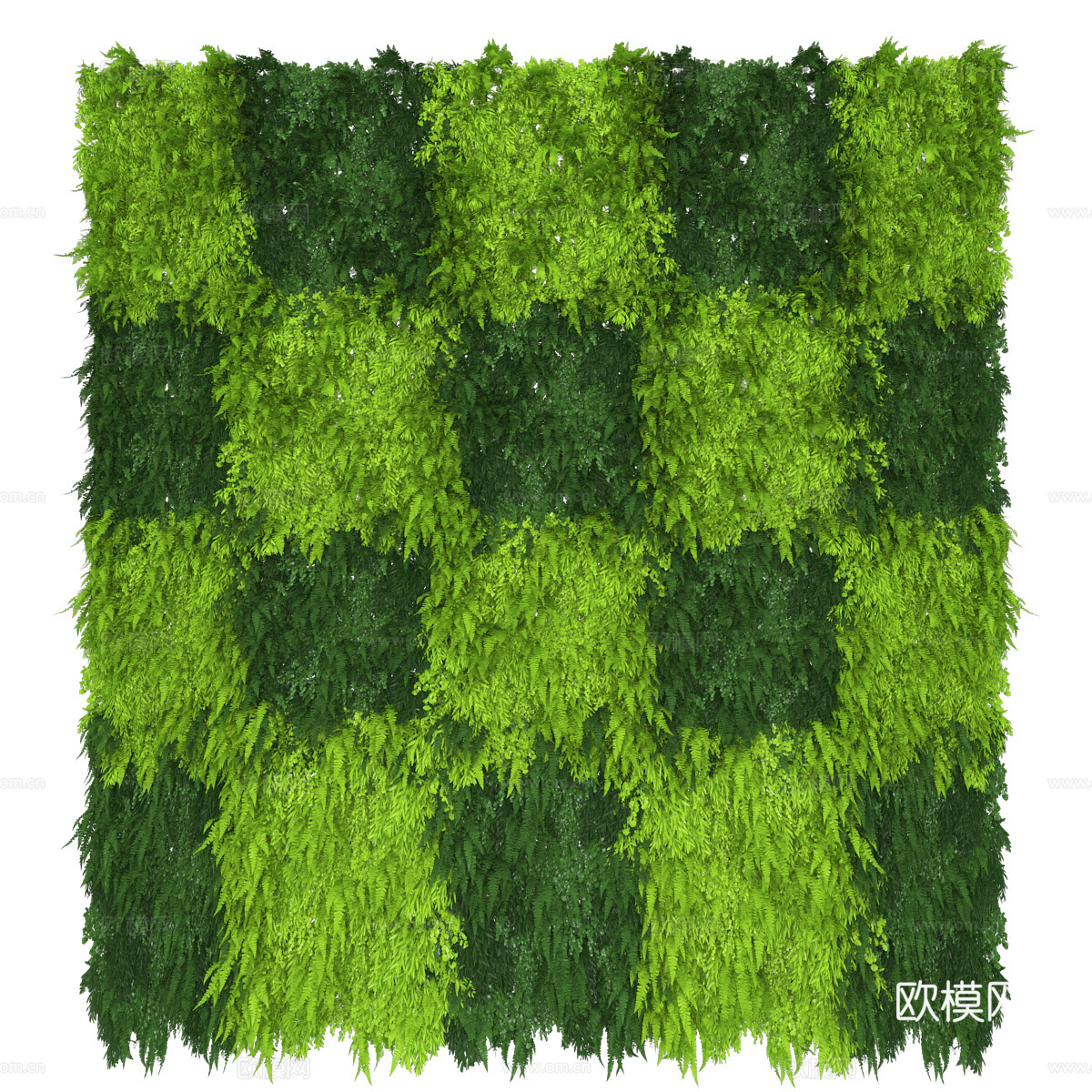 植物墙 绿植墙3d模型