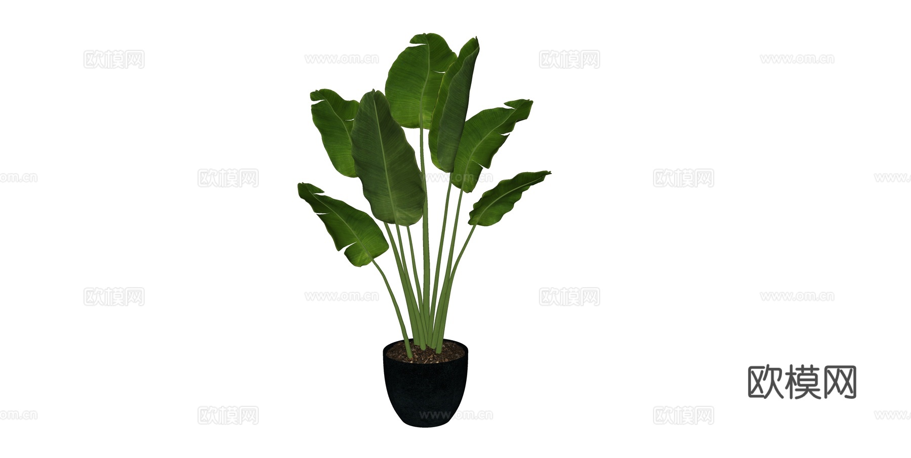 植物 盆栽 盆景 花卉su模型下载
