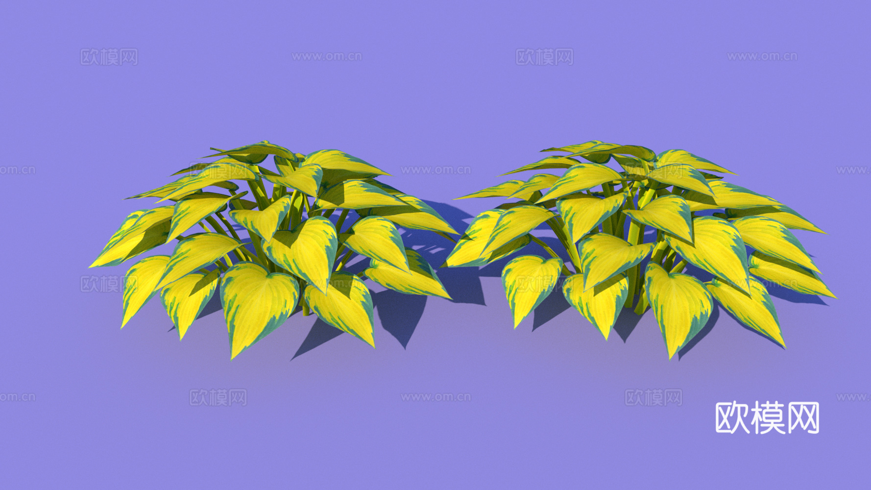 景观植物 花草 野草su模型下载