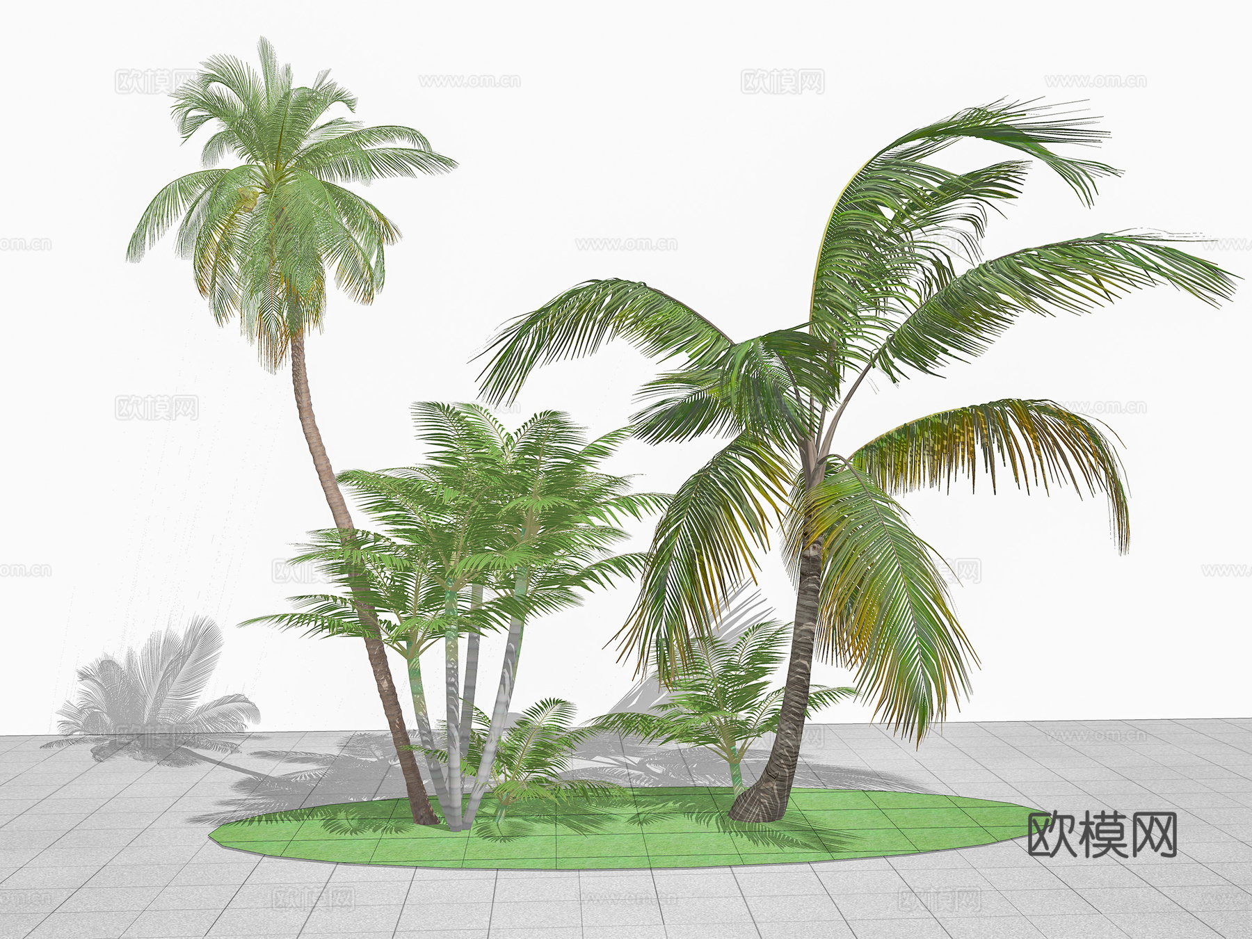 现代景观植物  棕榈树 散尾葵 椰子树su模型下载