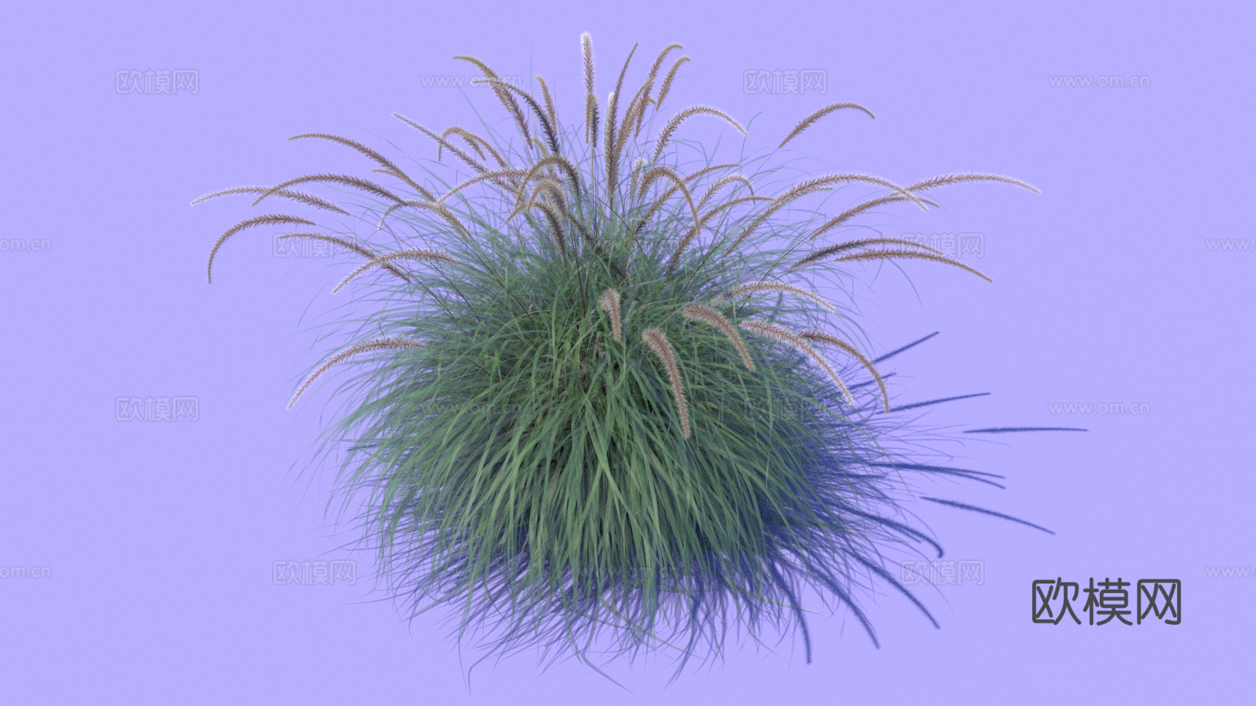 景观植物 花草 野草su模型下载