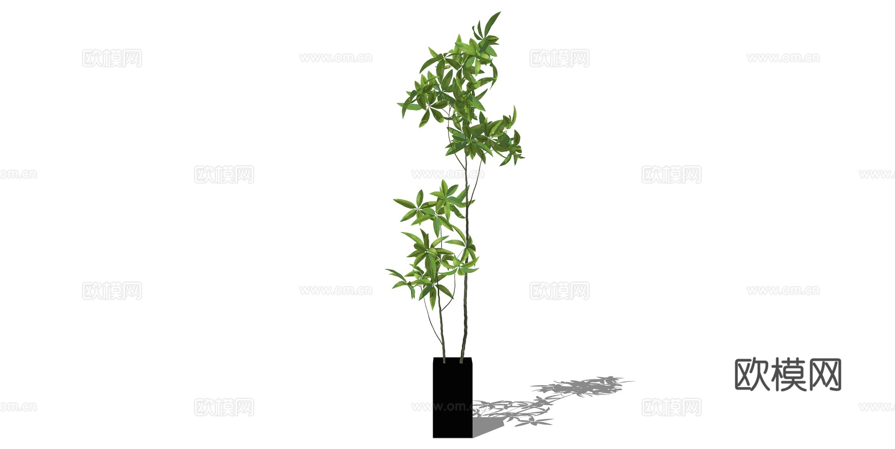 植物 盆栽 盆景 花卉su模型下载