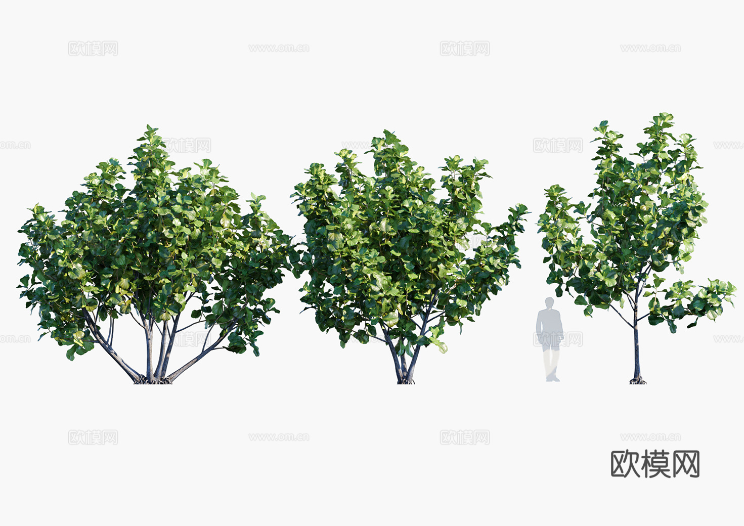 现代灌木su模型下载