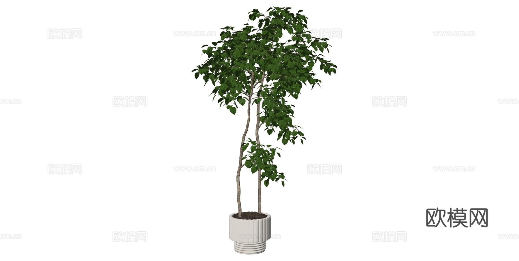 植物 盆栽 盆景 花卉su模型下载