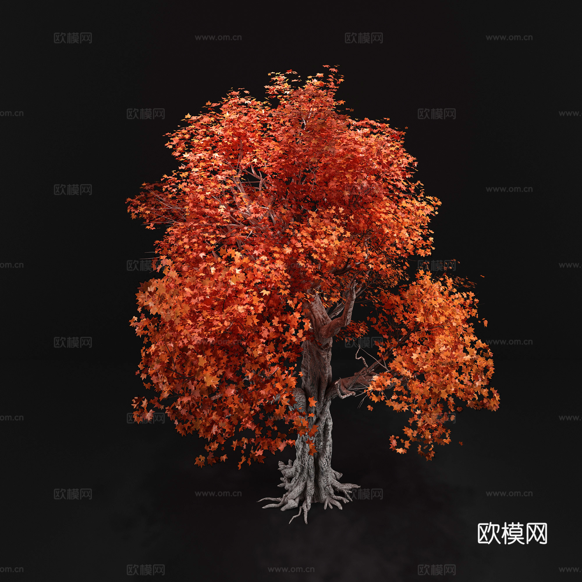 现代行道树景观树su模型下载