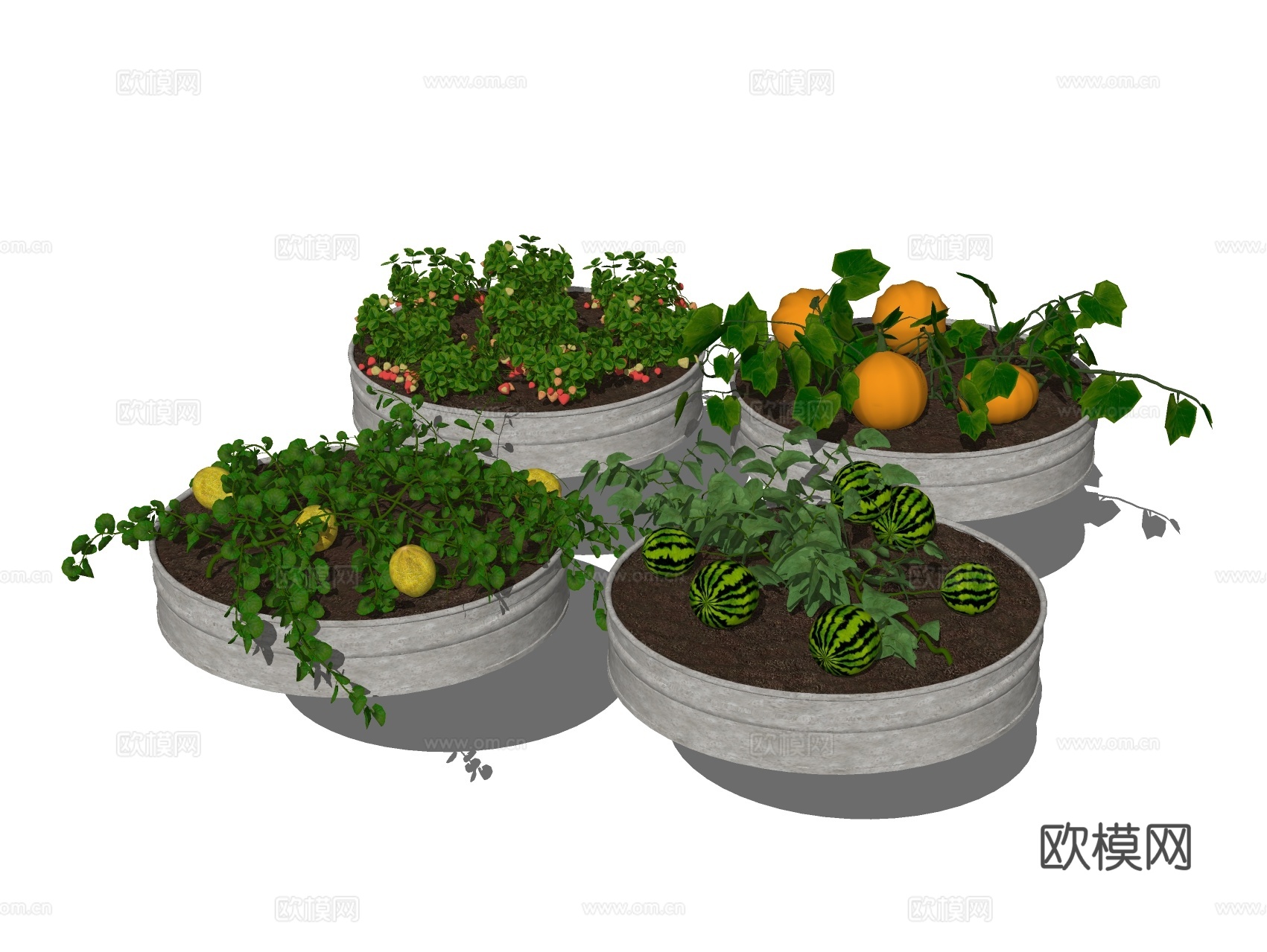 农作物菜园 蔬菜果蔬菜地su模型下载