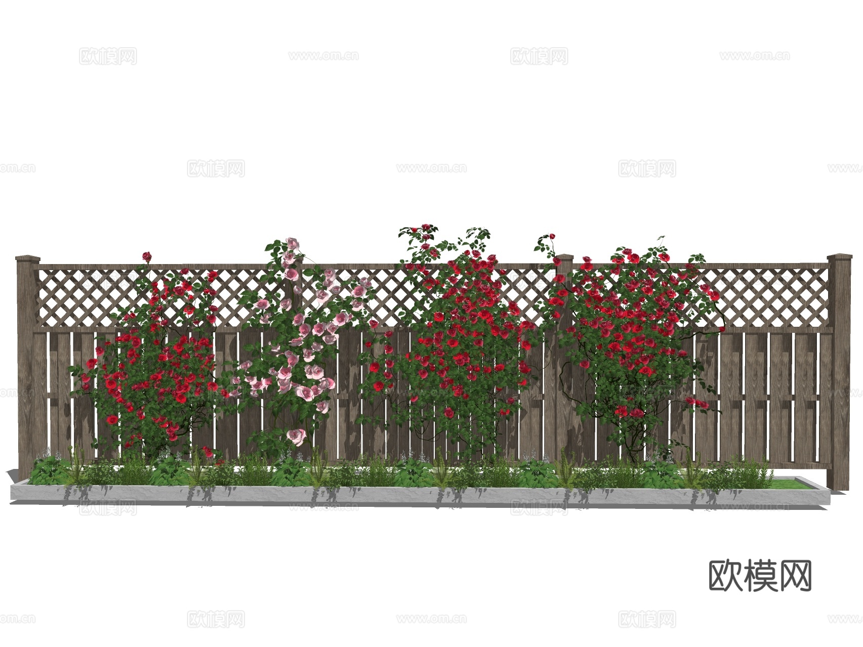 月季花 玫瑰花 爬藤 藤蔓su模型下载