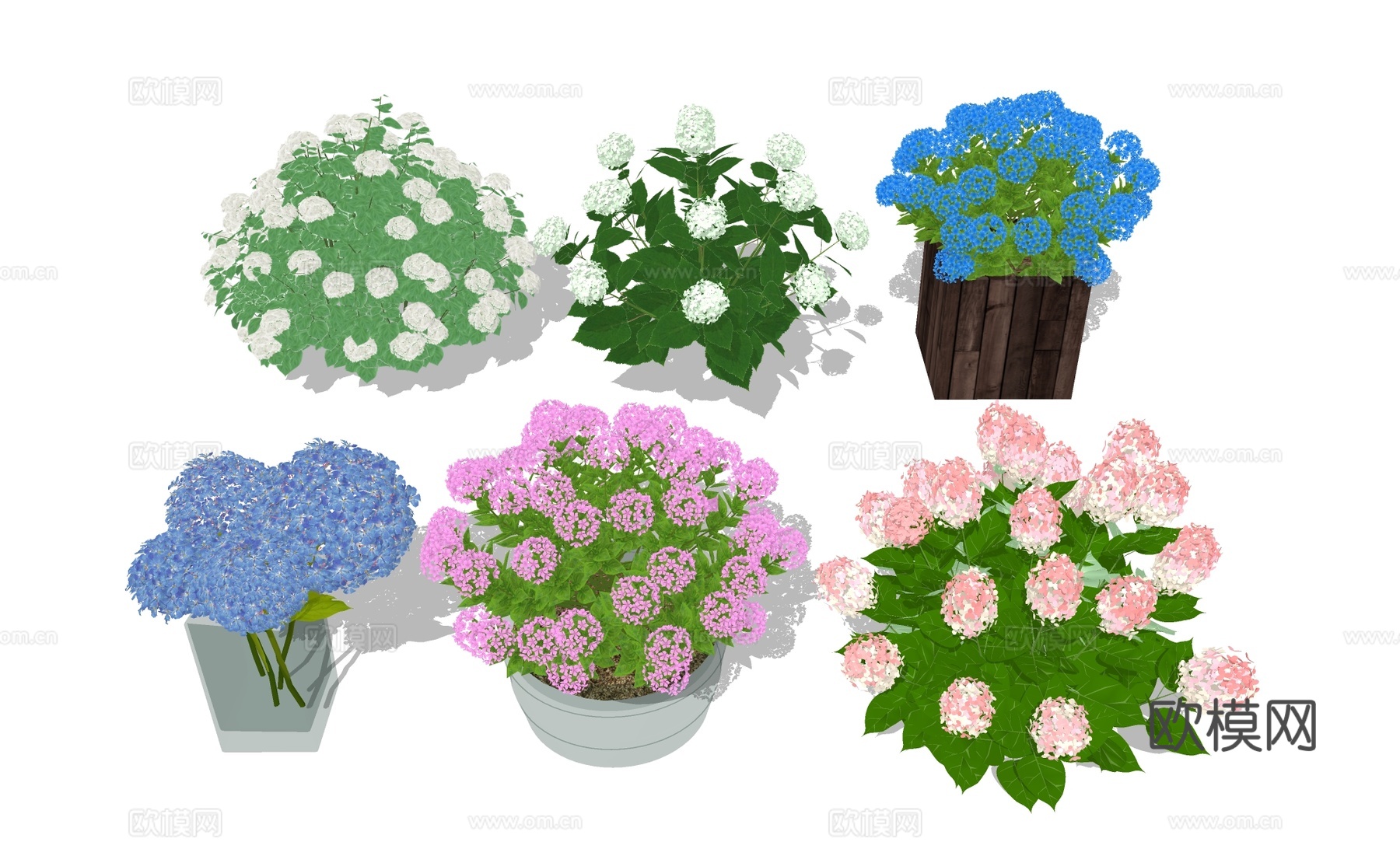 花卉鲜花 绣球花 花盆su模型下载