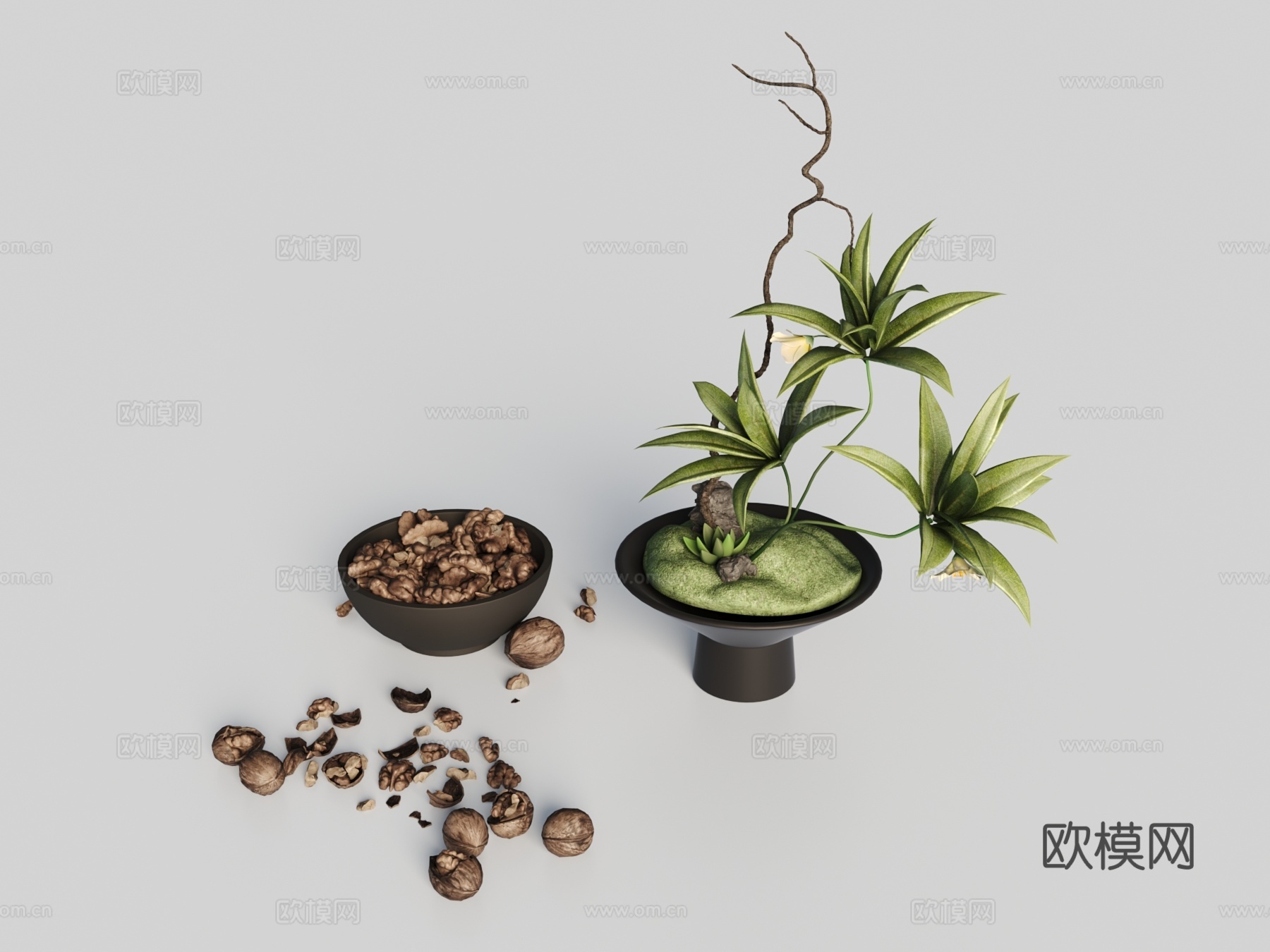 现代摆件 绿植3d模型