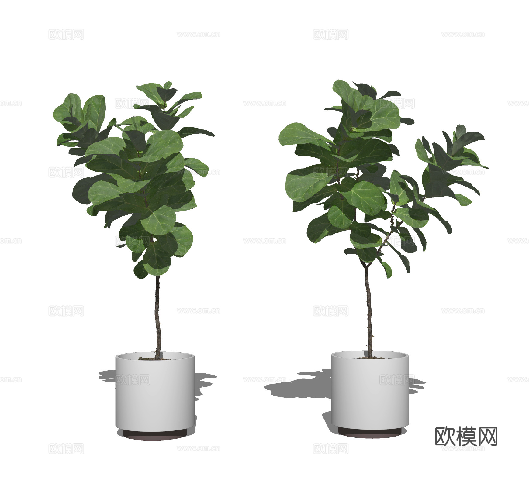 现代植物盆栽su模型下载