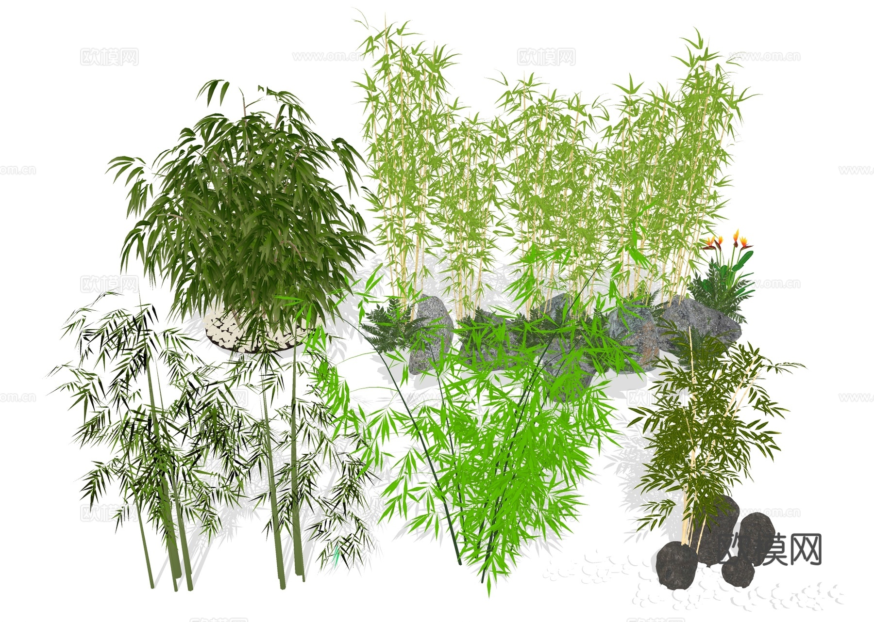 竹子竹林 竹竿 竹叶su模型下载