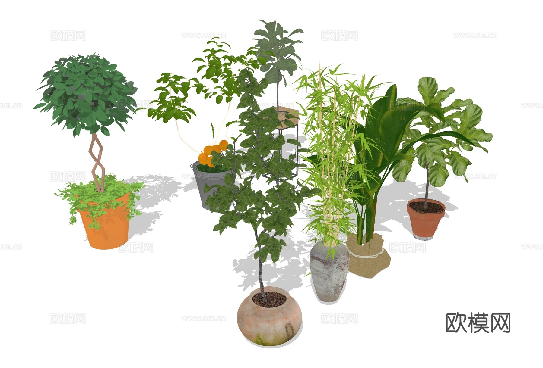 绿植盆栽 大型景观盆景su模型下载
