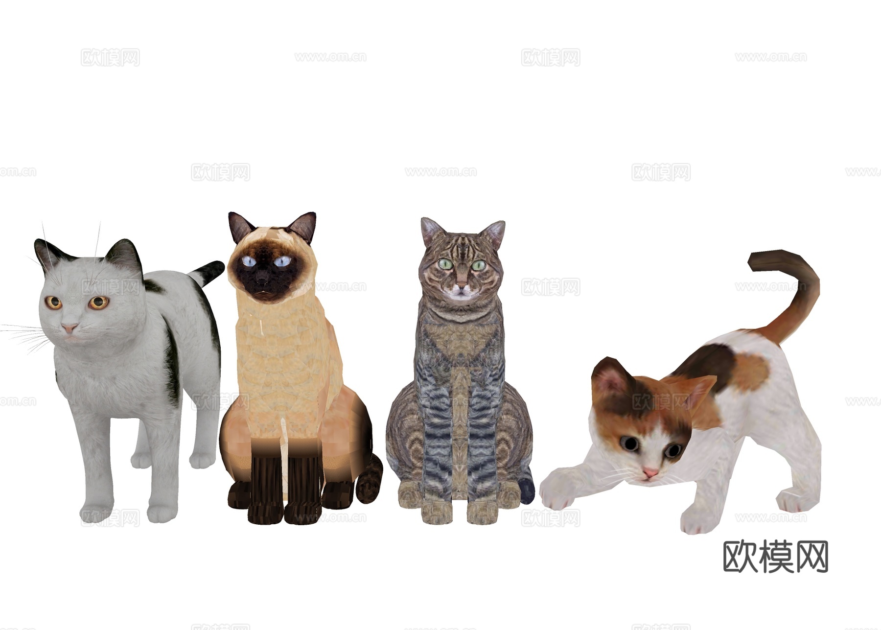 宠物猫咪 狸花猫su模型下载