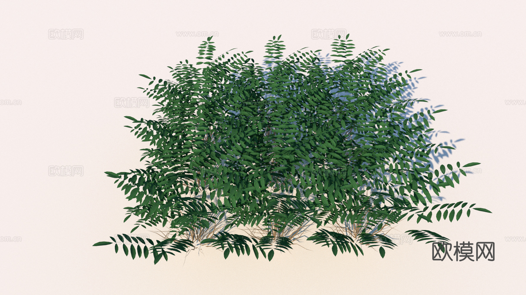 景观植物 花草 野草su模型下载