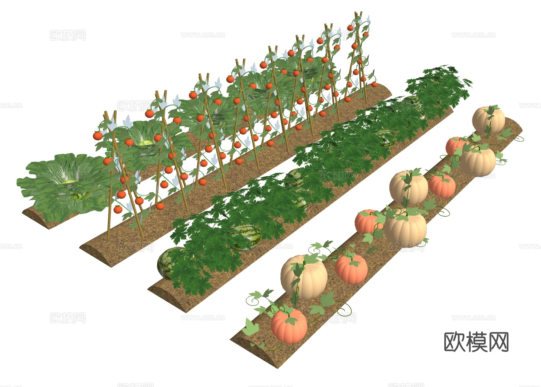菜地菜园 果蔬种植su模型下载