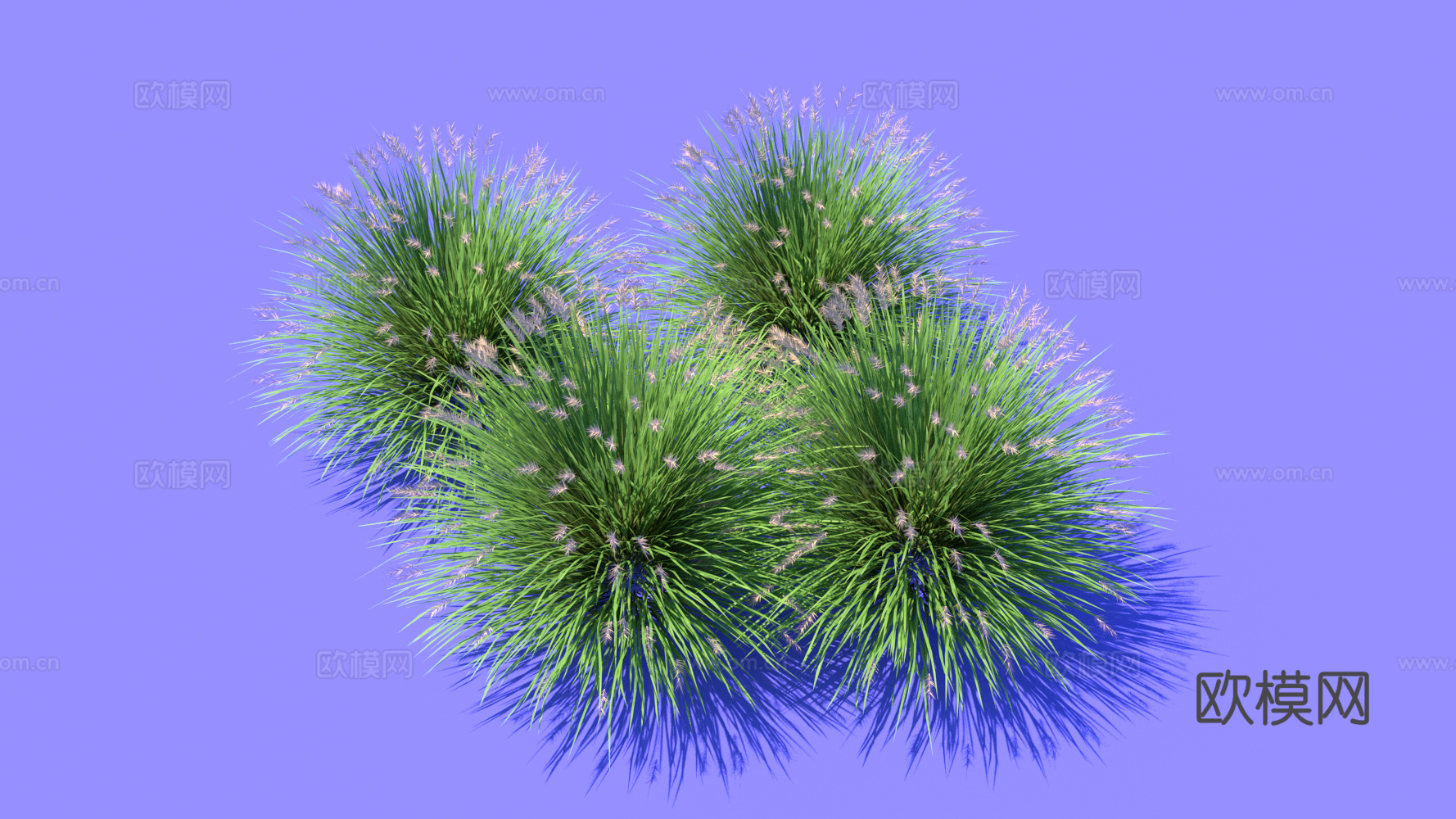 景观植物 花草 野草su模型下载