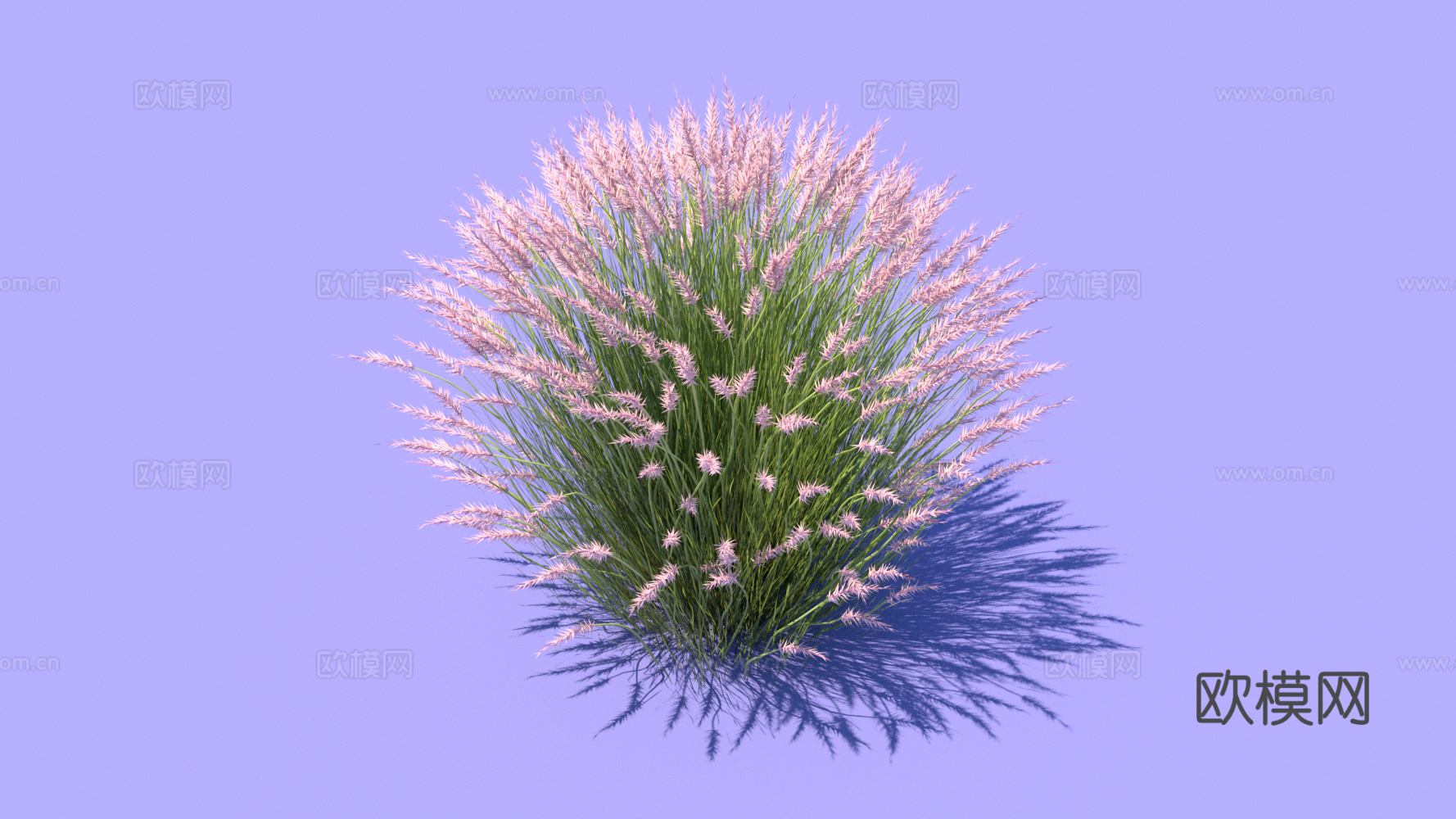 景观植物 花草 野草su模型下载