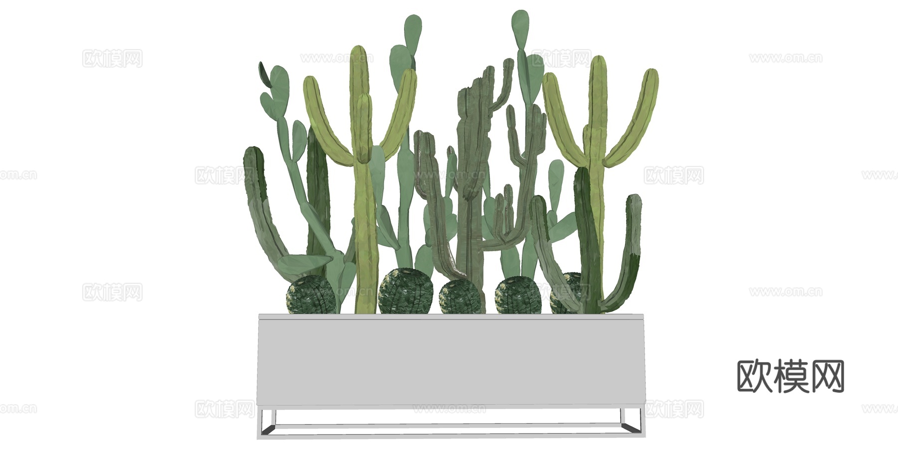 植物 盆栽 盆景 花卉 仙人掌 沙生植物su模型下载