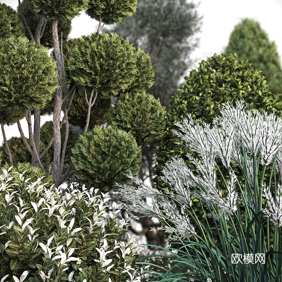 现代户外庭院绿植 植物堆3d模型