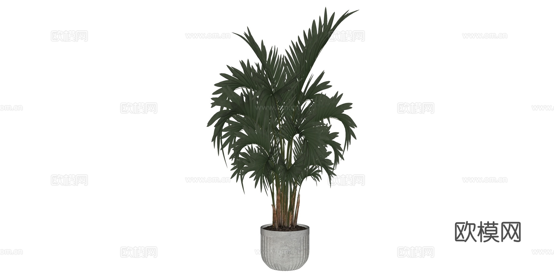 植物 盆栽 盆景 花卉su模型下载