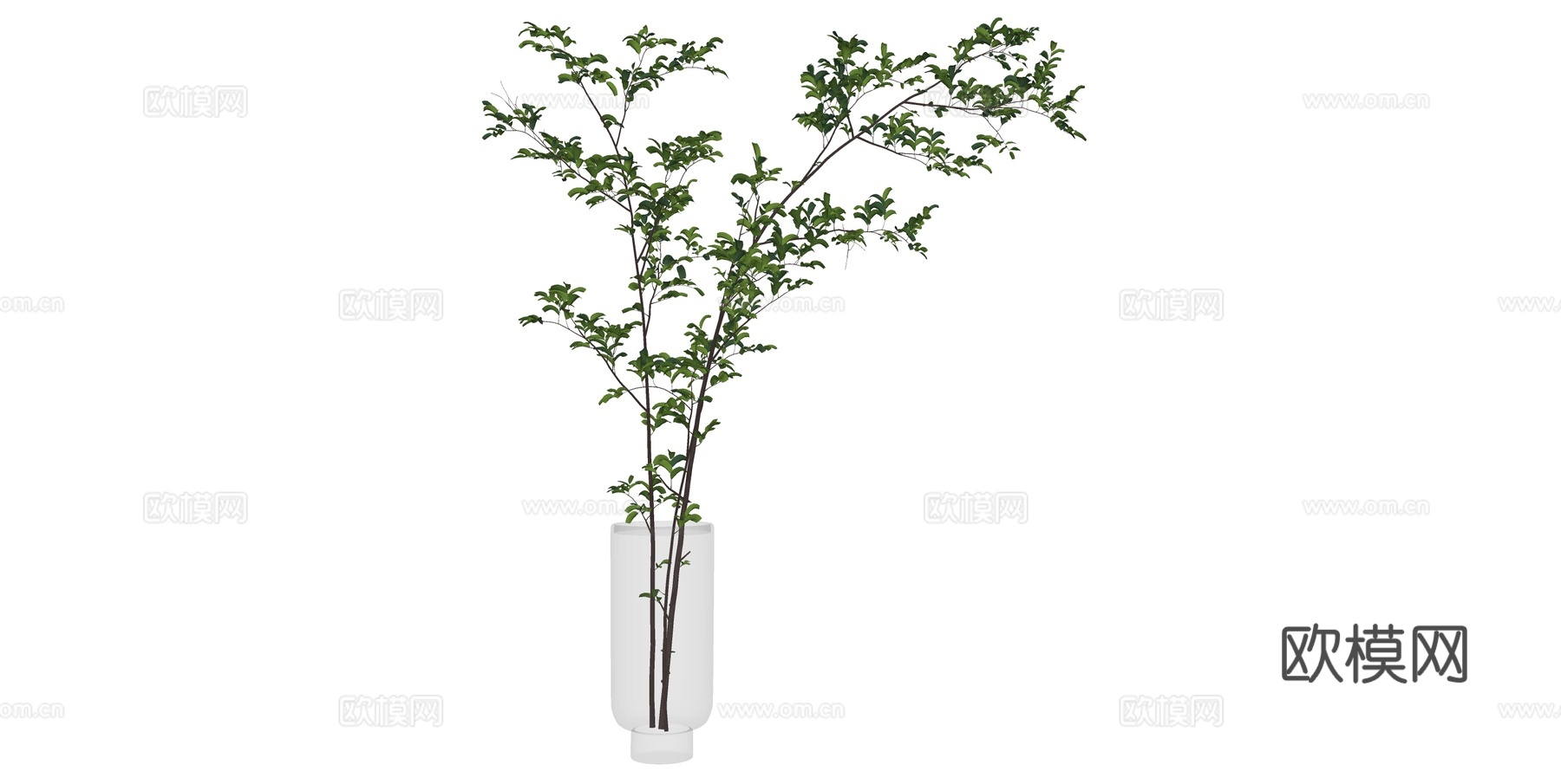 花瓶 插花 盆景su模型下载