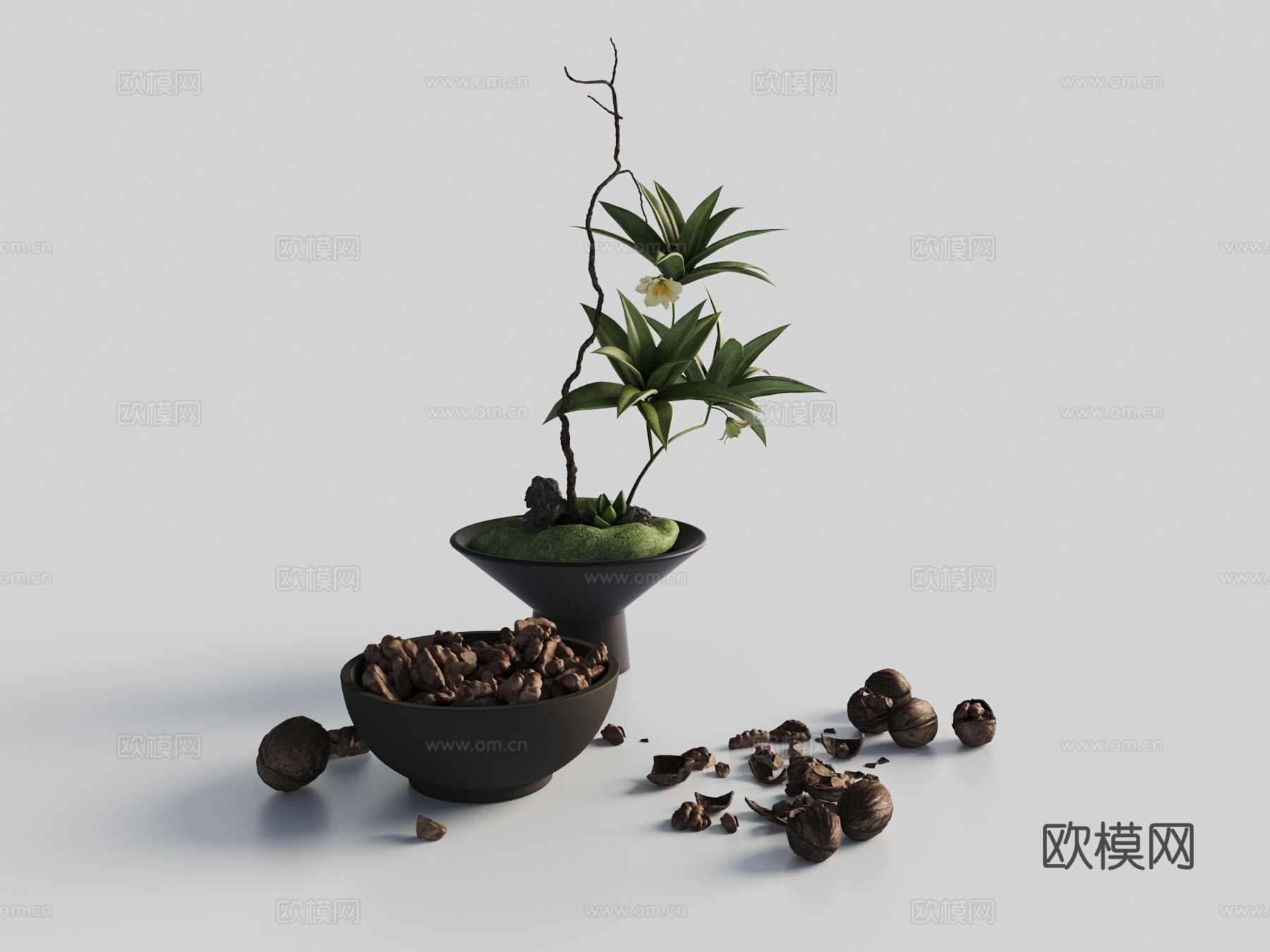 现代摆件 绿植3d模型