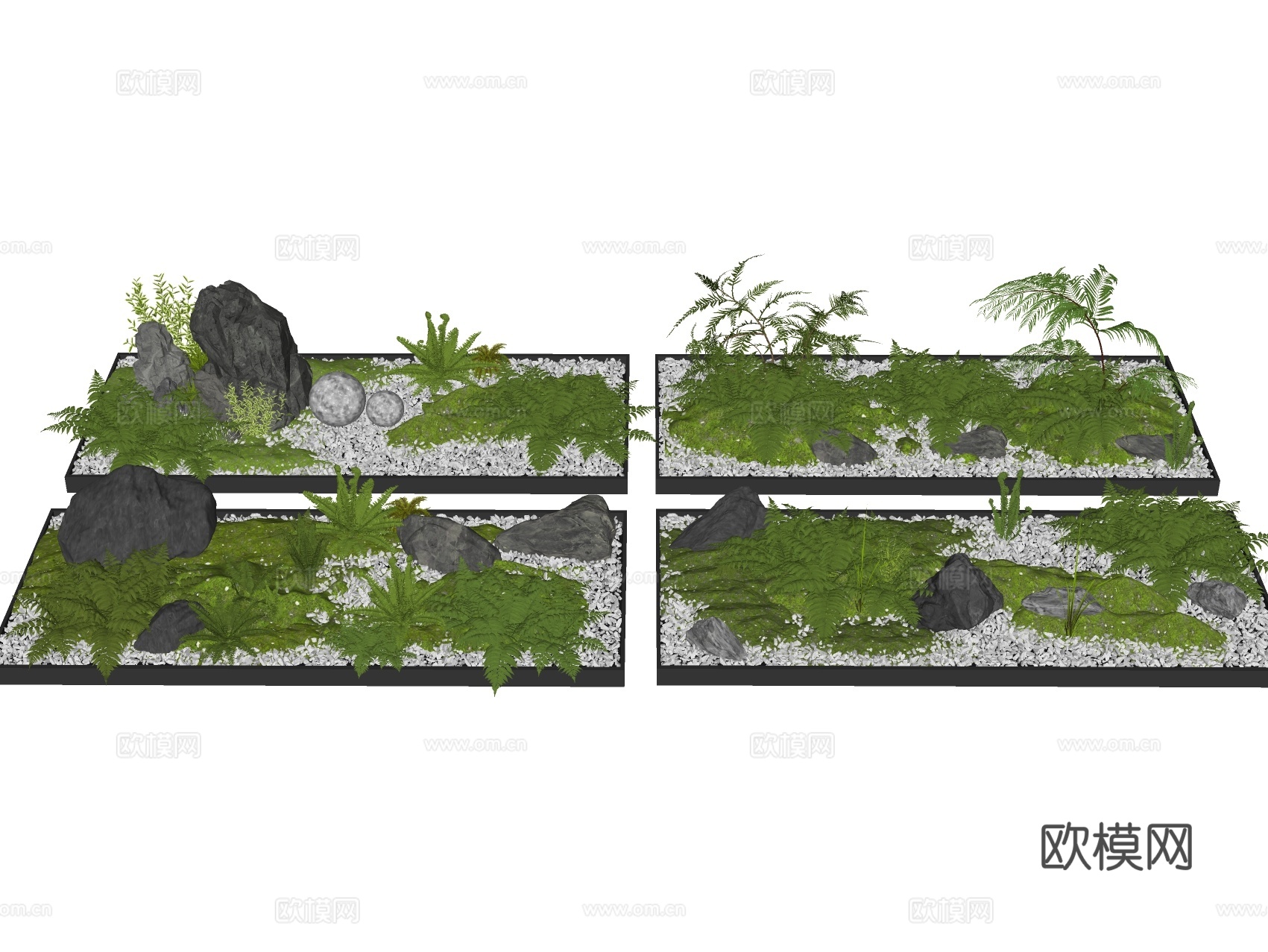 蕨类植物 盆栽摆件 花盆su模型下载