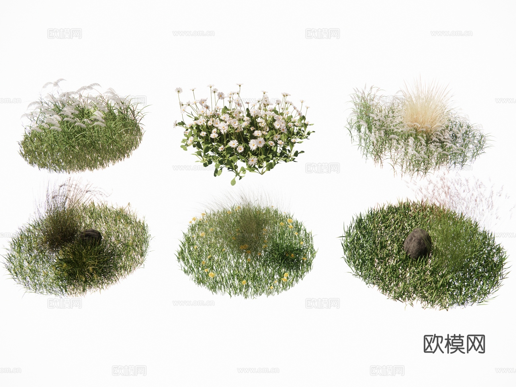 草坪 草皮 花草 地被 花卉 景观植物 鼠尾草 狼尾草su模型下载