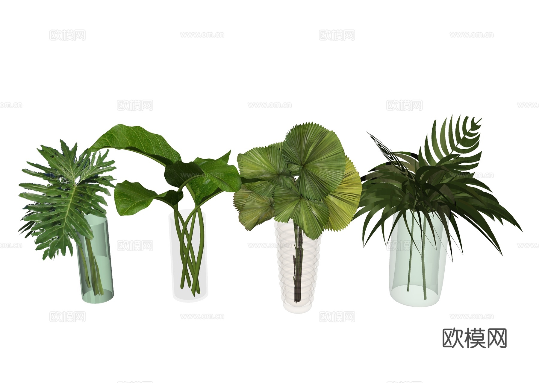 水培绿植 水生植物su模型下载
