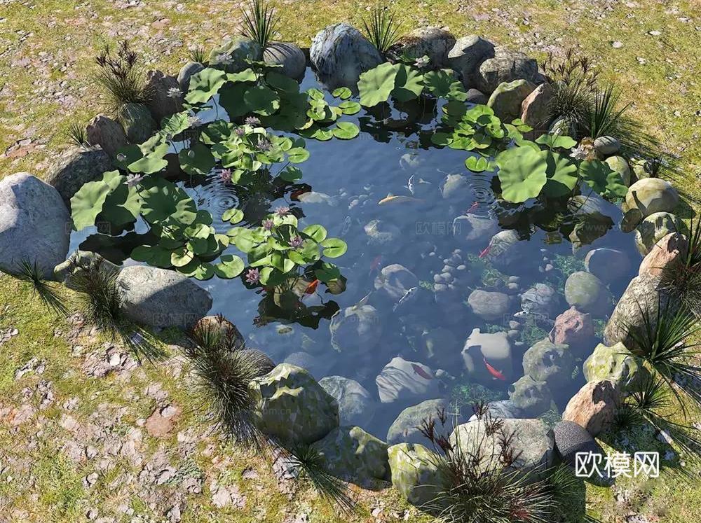 现代生态鱼池  水池 荷花池 观赏鱼塘su模型