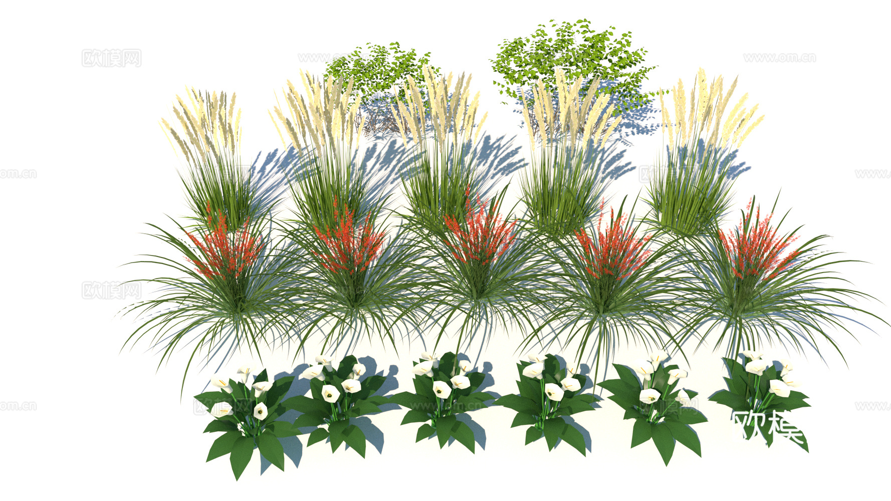 观赏植物 花草 野花su模型下载