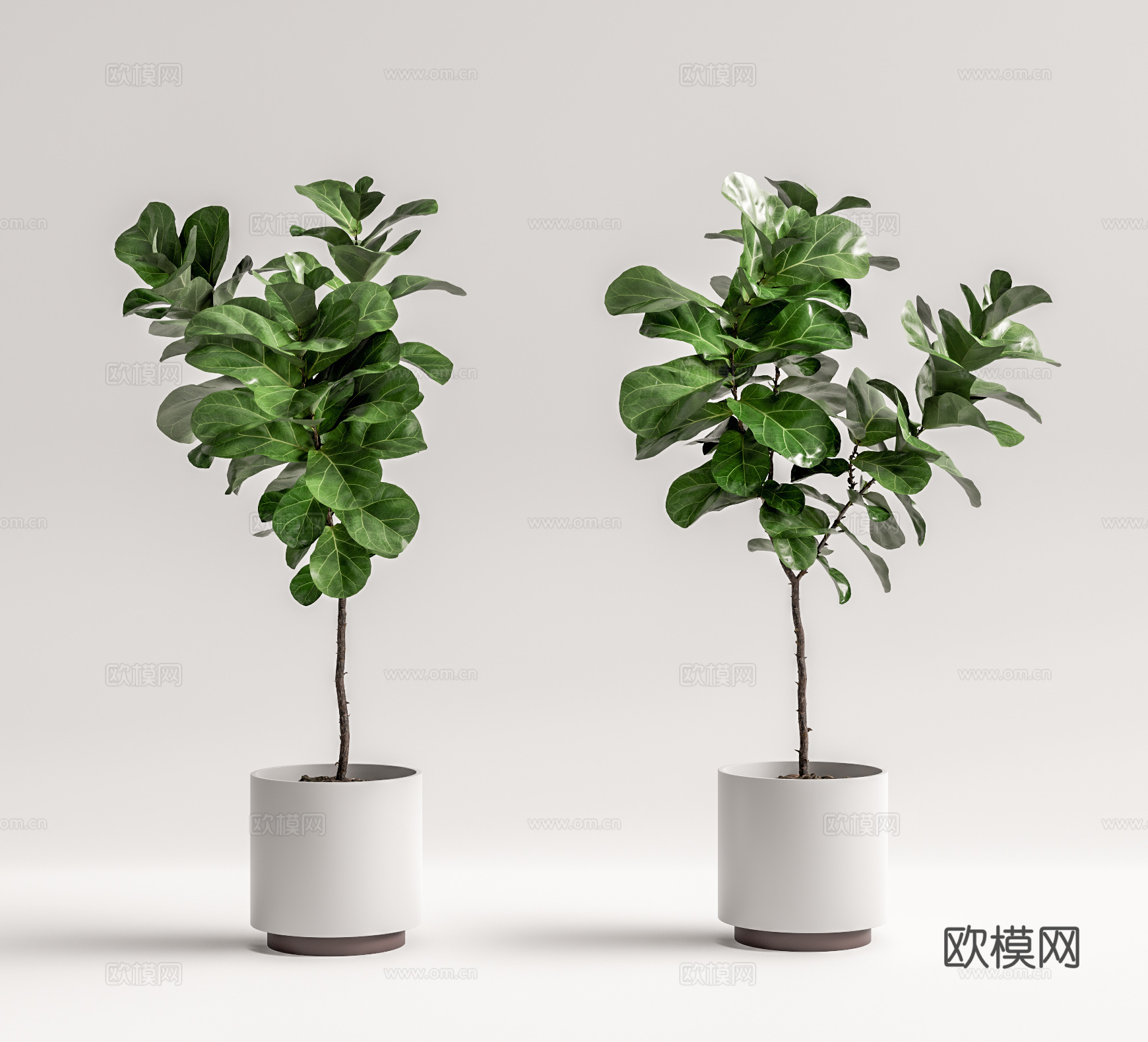 现代植物盆栽su模型下载