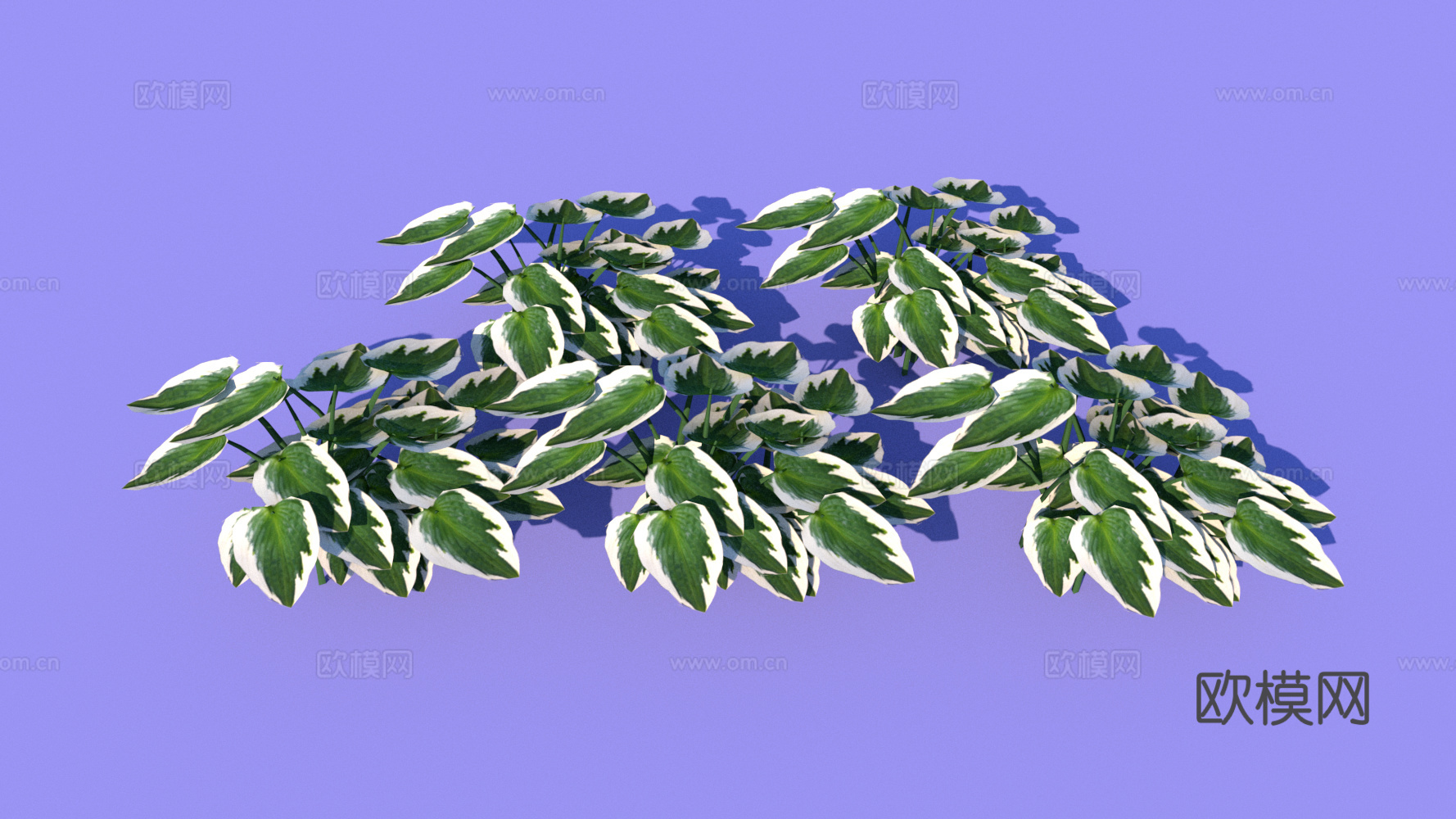 现代花草绿植su下载模型