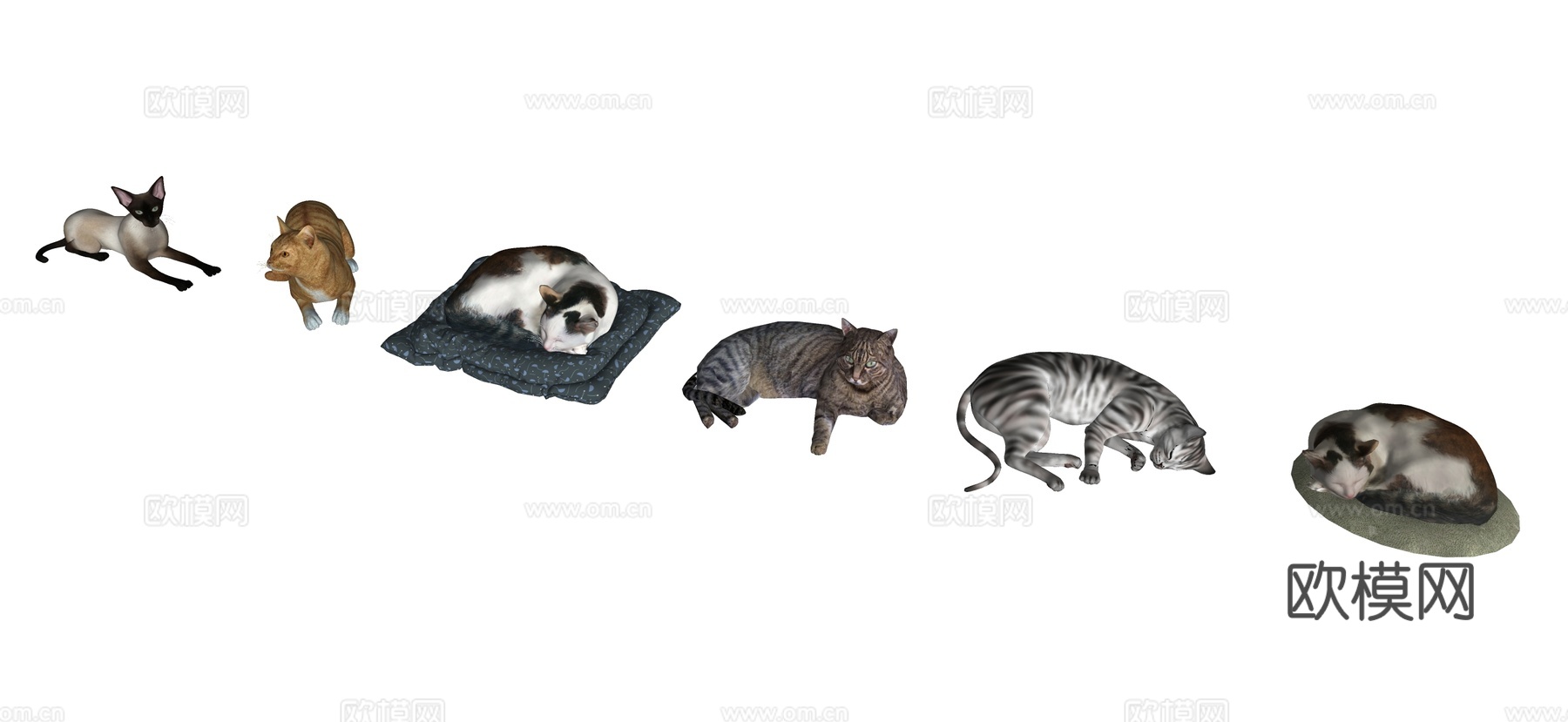现代宠物猫 猫咪 动物su模型下载