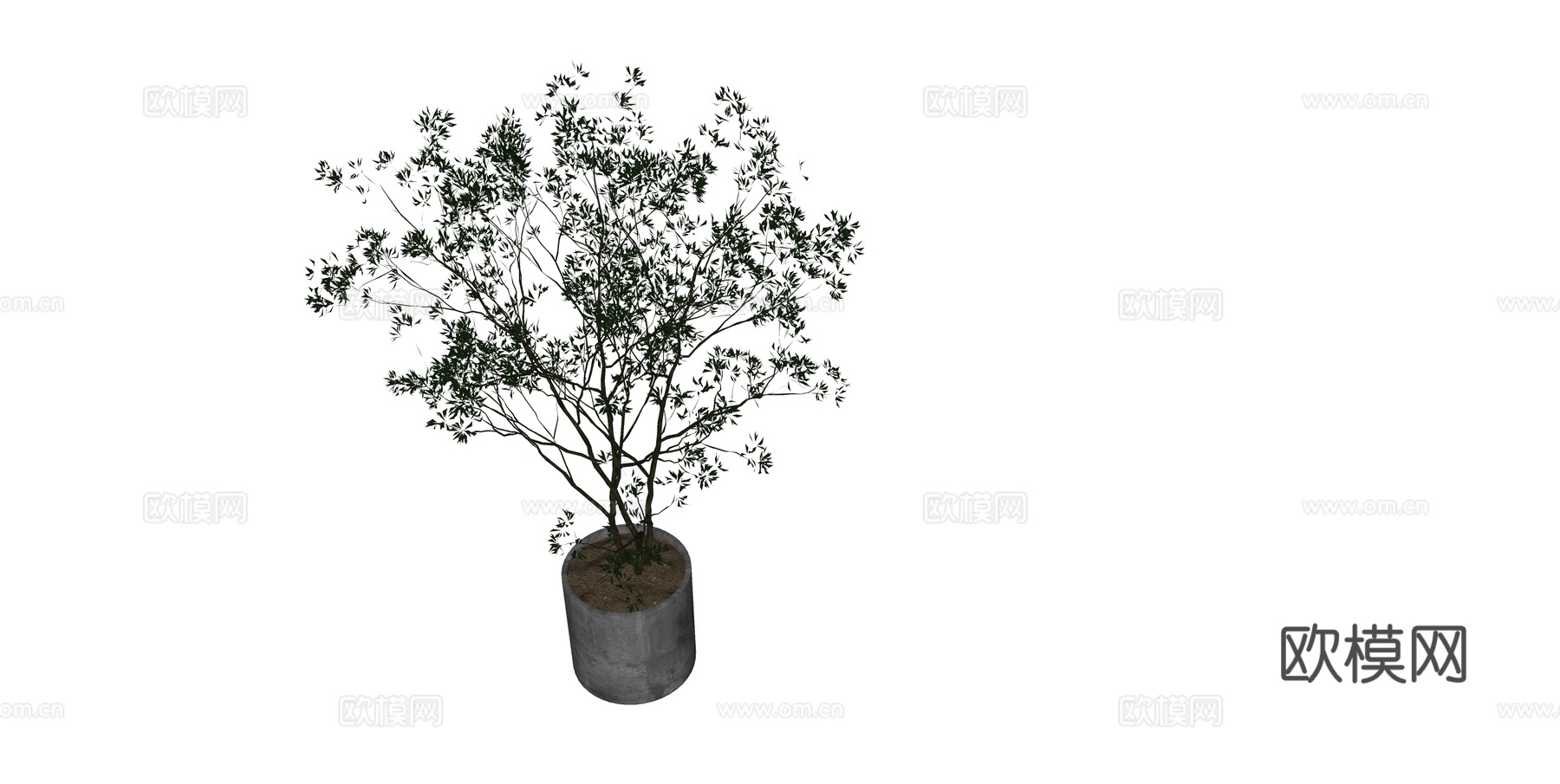 植物 盆栽 盆景 花卉su模型下载