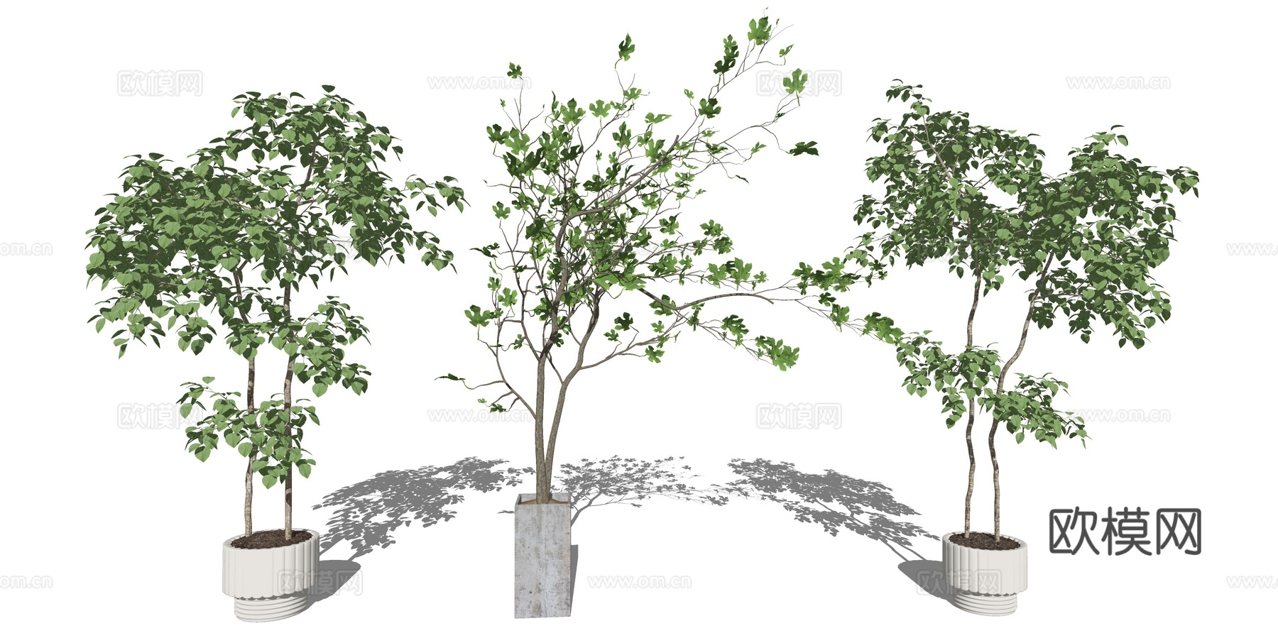 现代绿植盆栽su模型