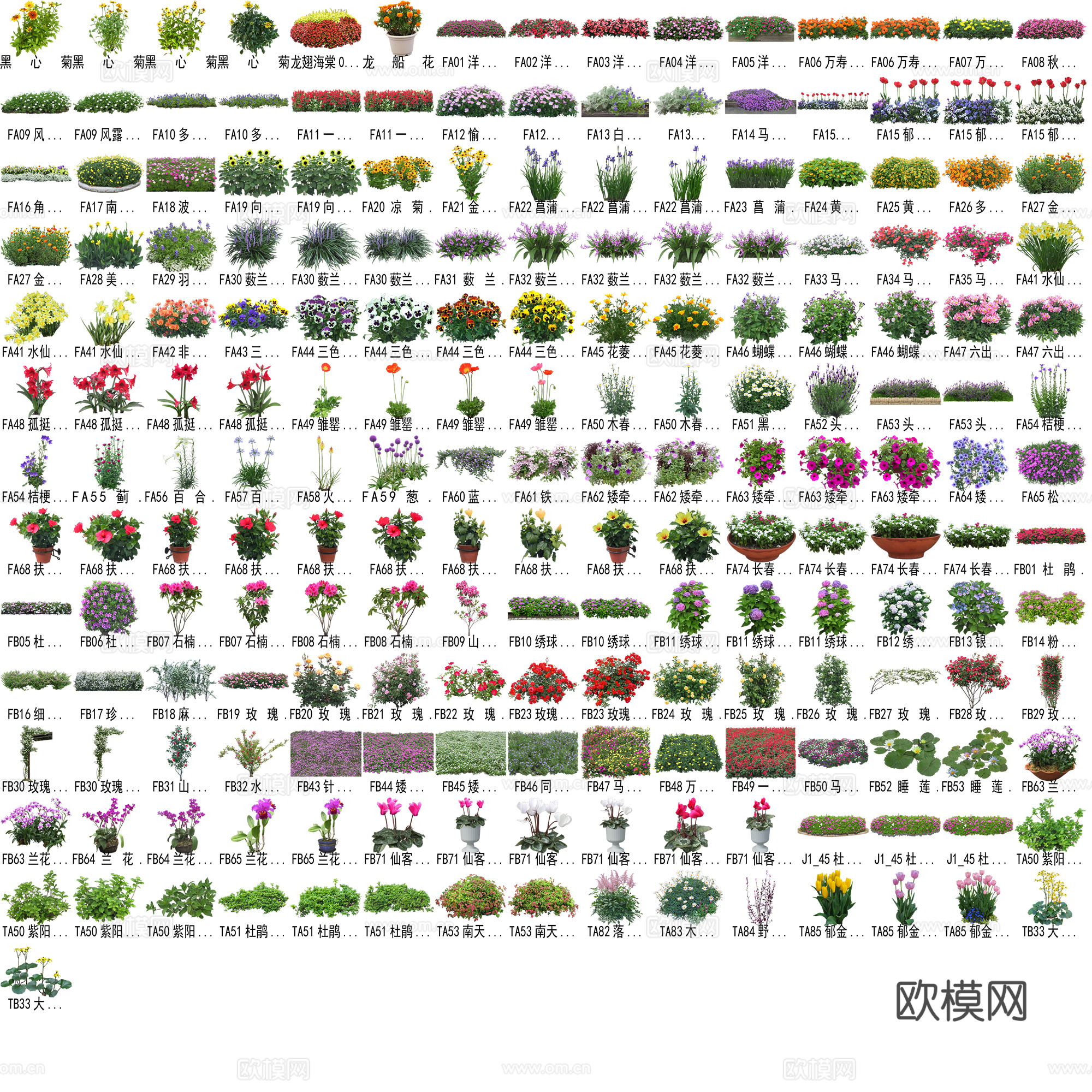 花卉植物免抠图