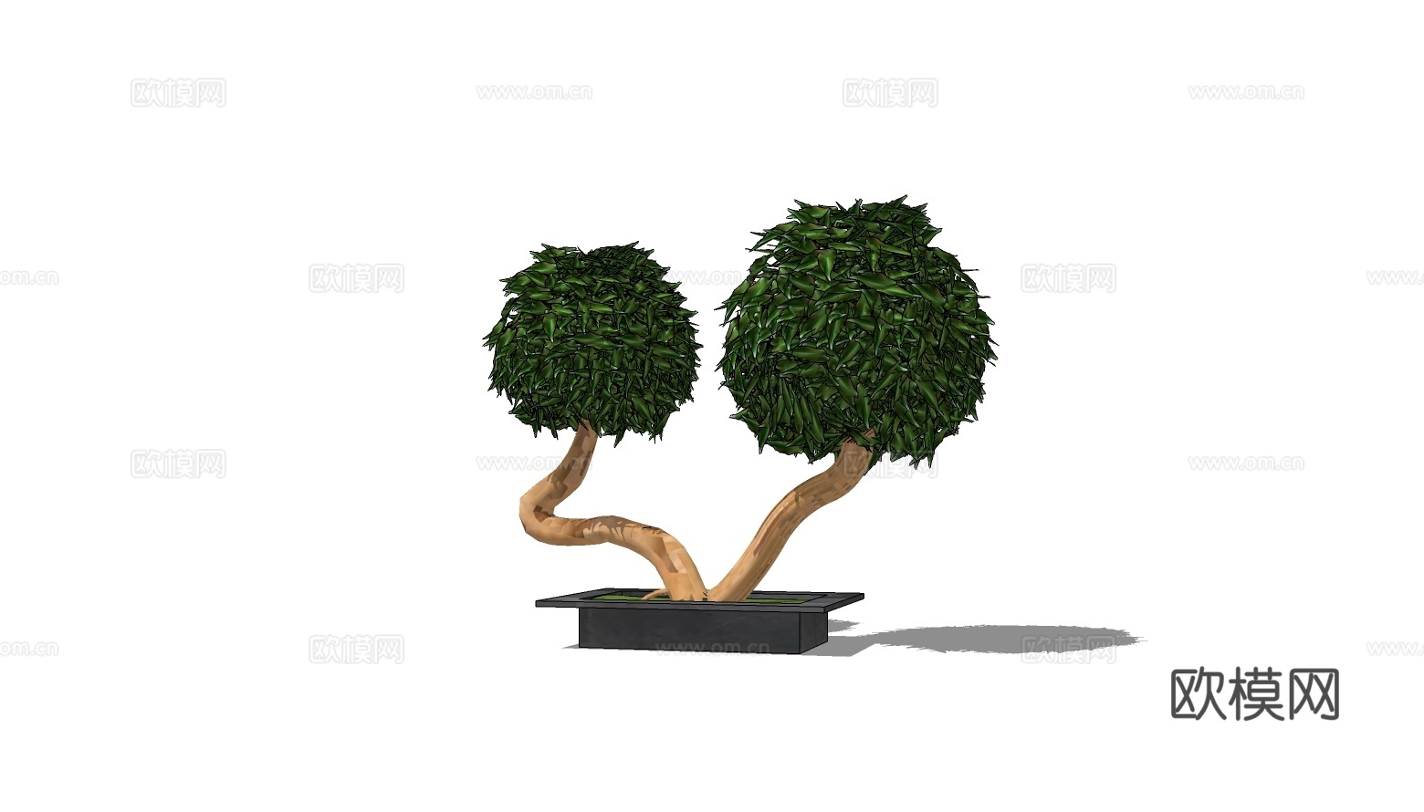 现代植物盆栽免费su模型下载