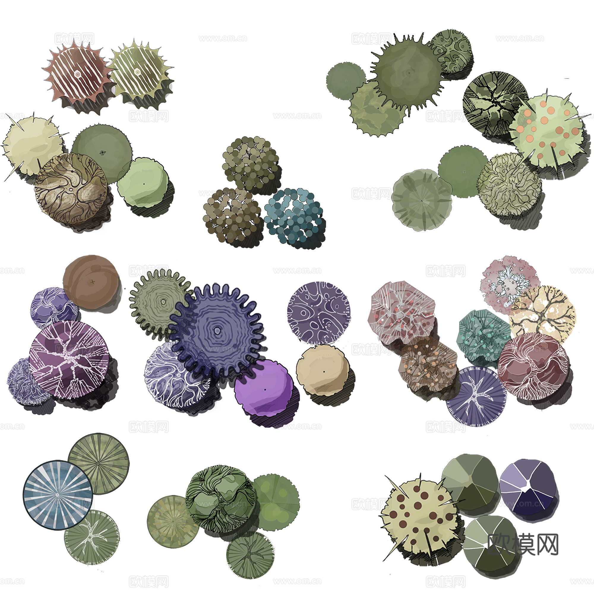 彩平植物免抠图下载