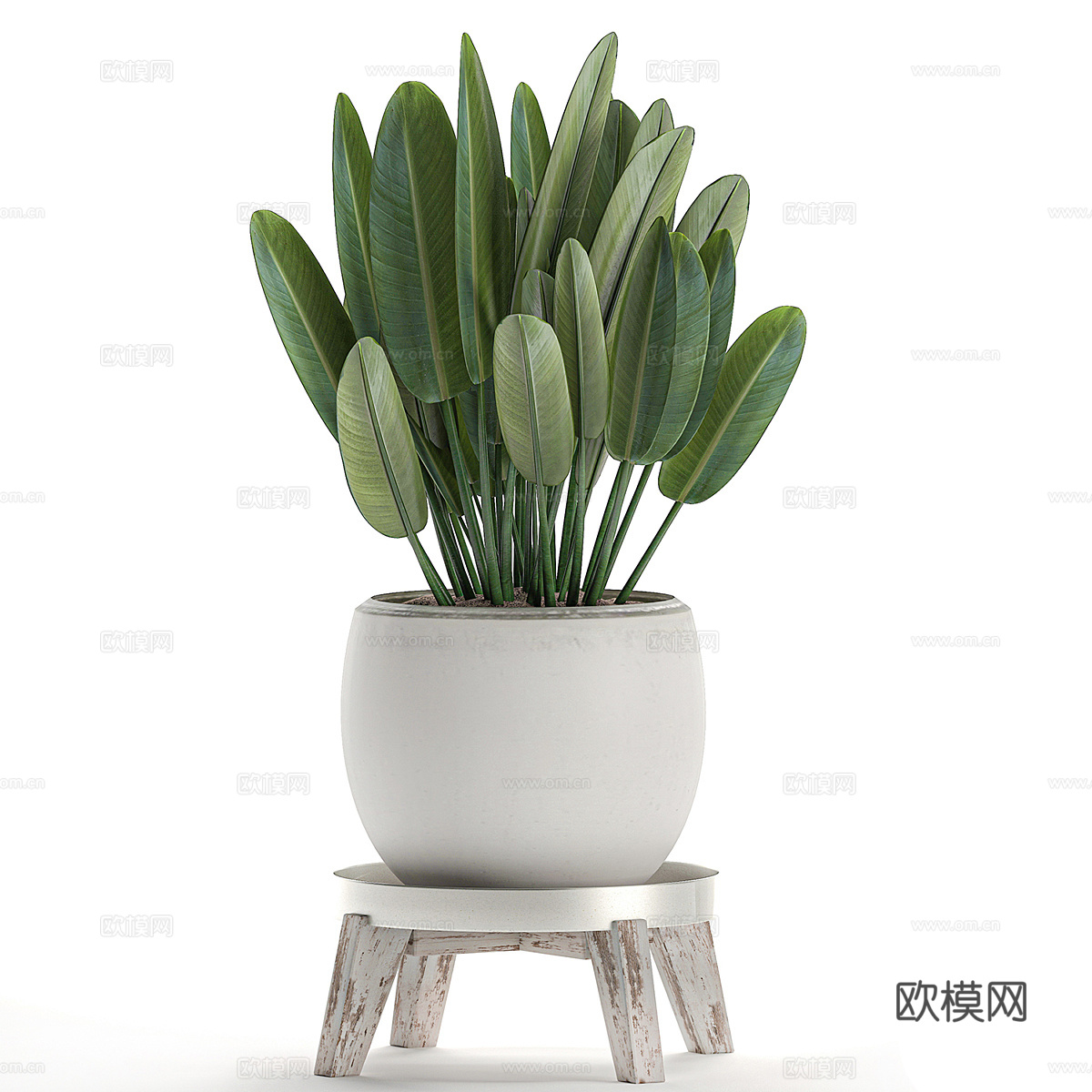 现代侘寂绿植盆栽3d模型