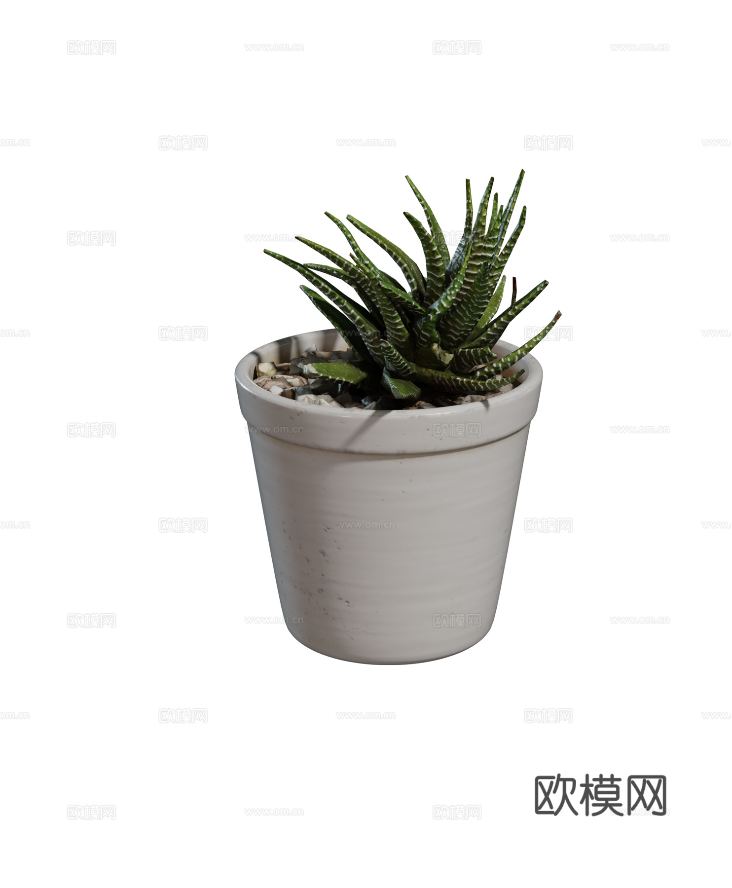 现代室内绿植 户外庭院绿植 盆栽 芦荟植物组合3d模型