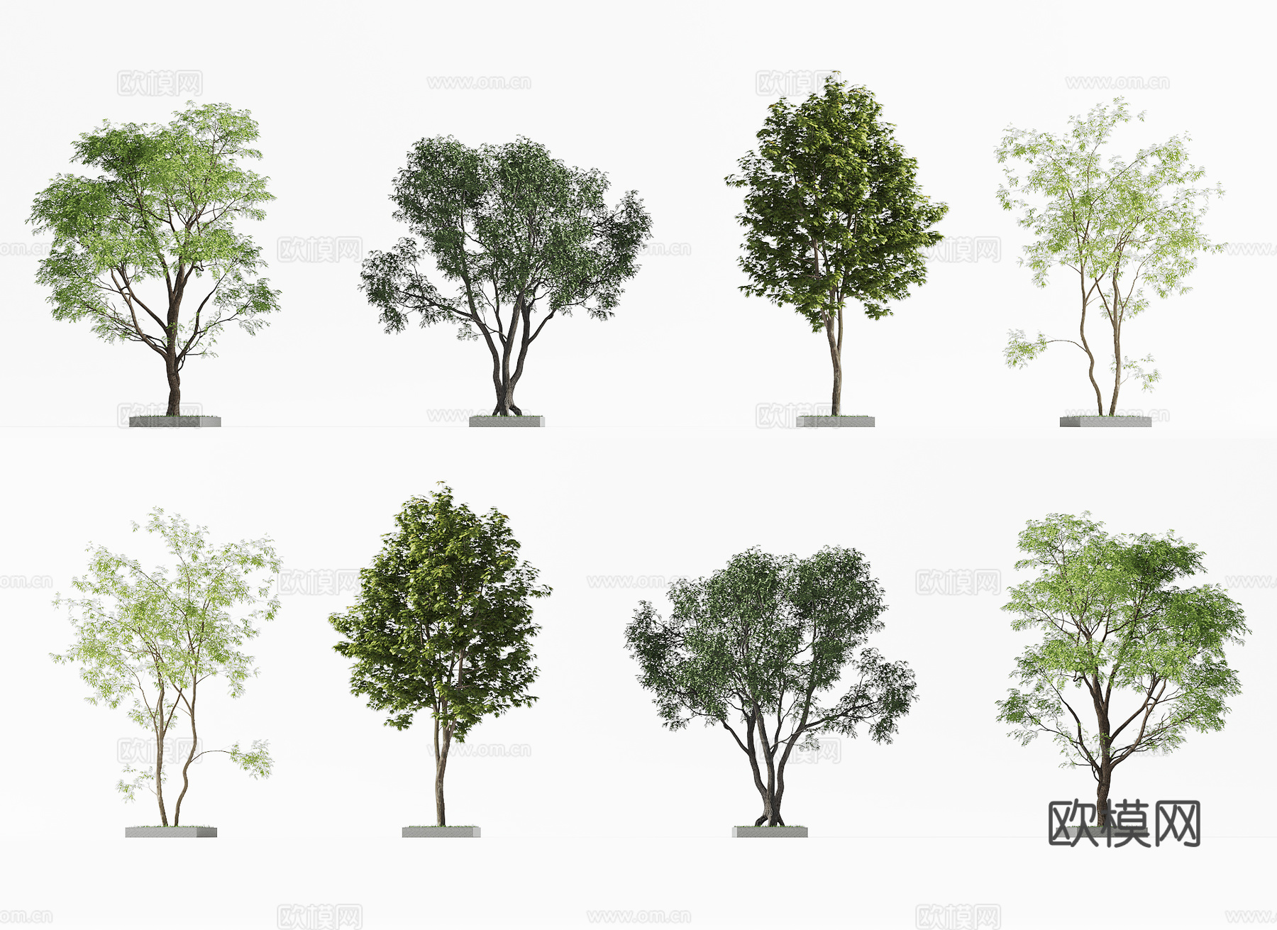 现代树,柠檬树,果树,景观树,花草,花园,庭院树3d模型下载