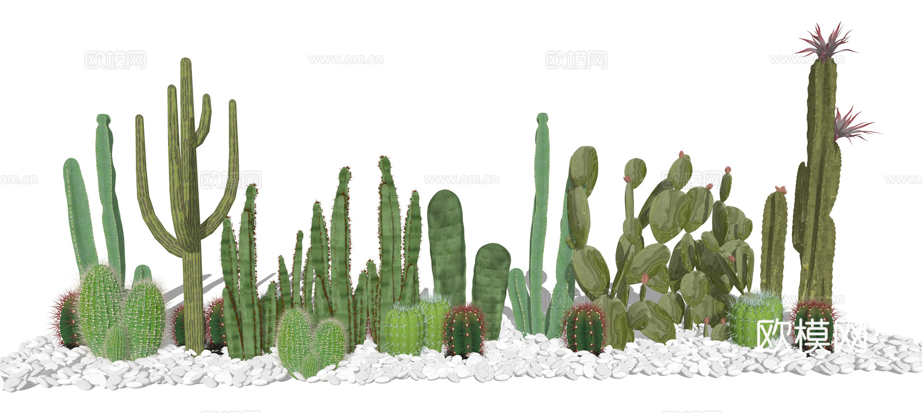 现代仙人掌绿植盆栽su模型下载