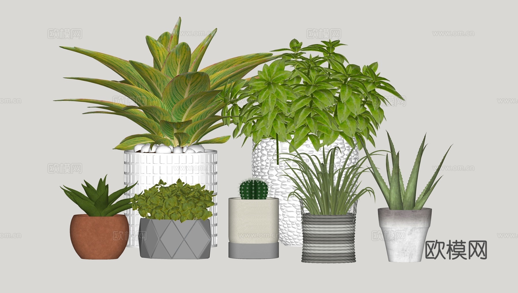 现代绿植盆栽su模型下载