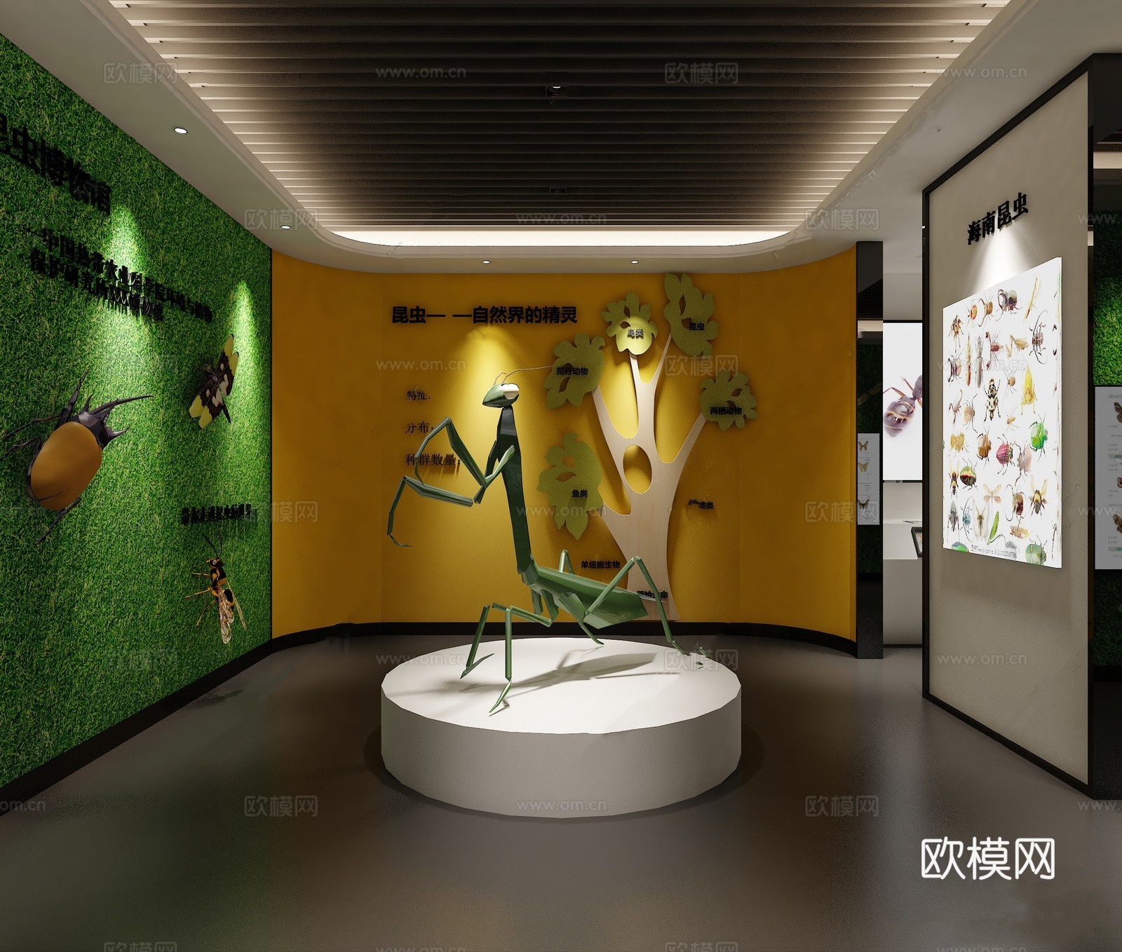 现代昆虫展厅  螳螂 昆虫su模型