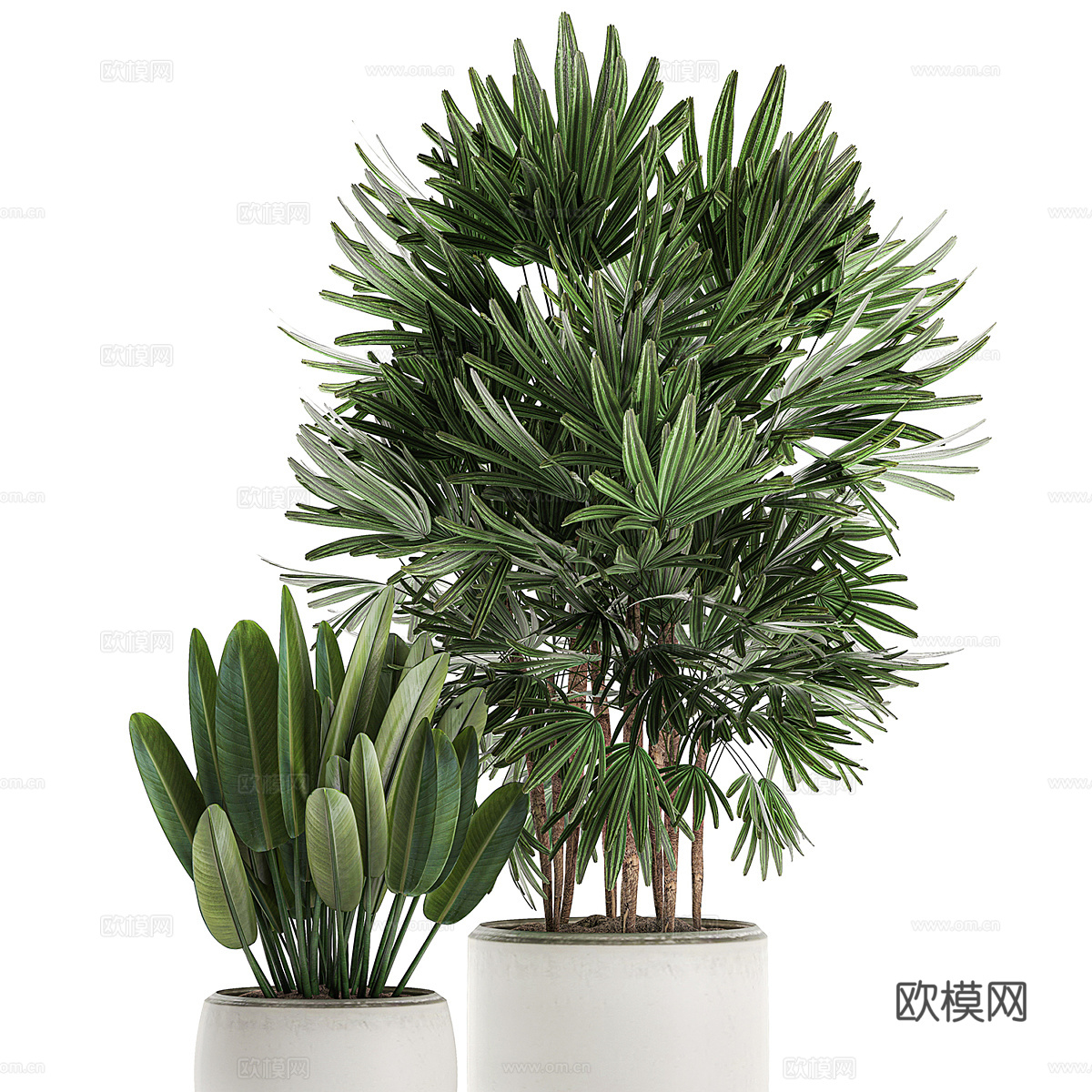 现代侘寂绿植盆栽3d模型